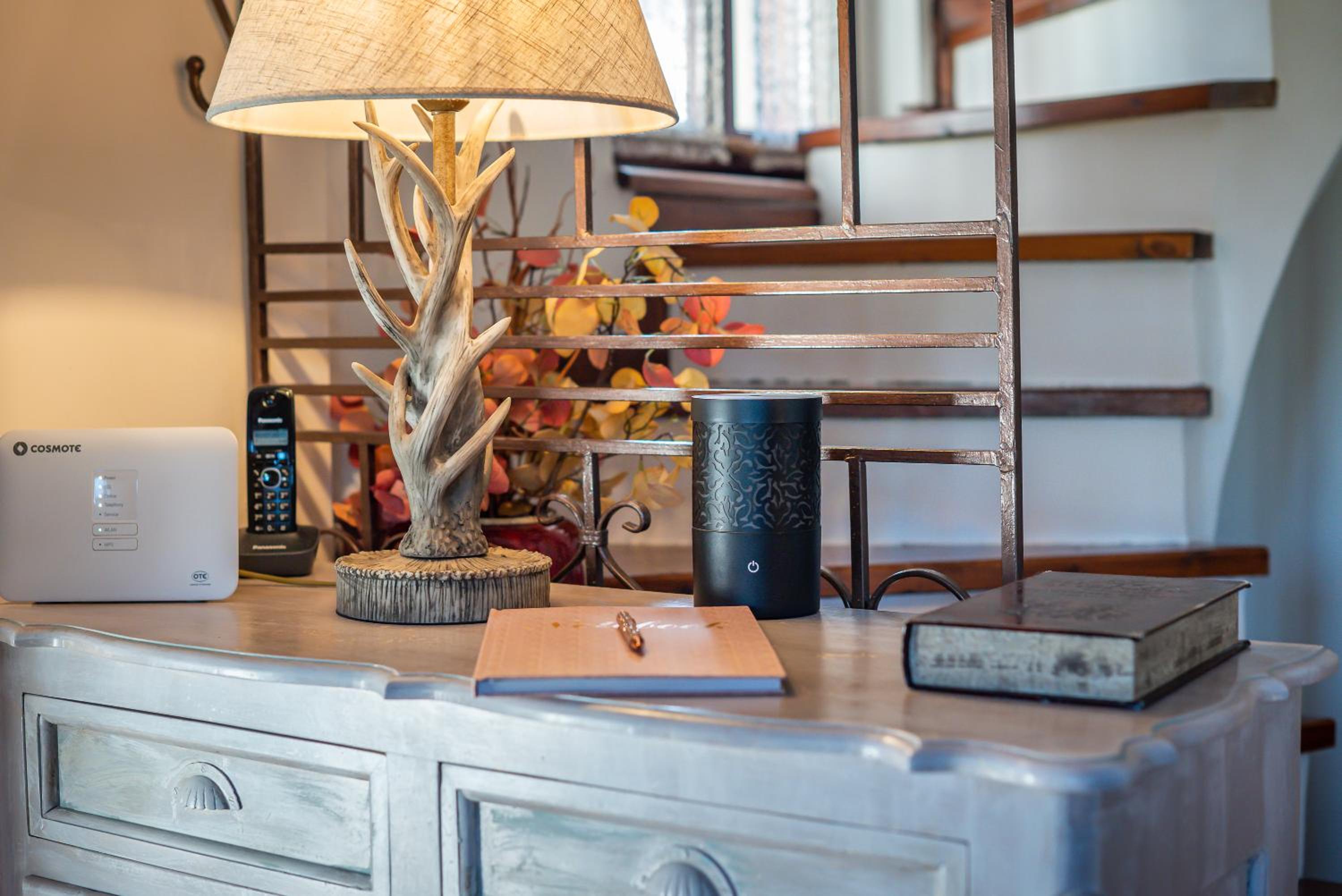 Arachova Mountain Villa photo 4