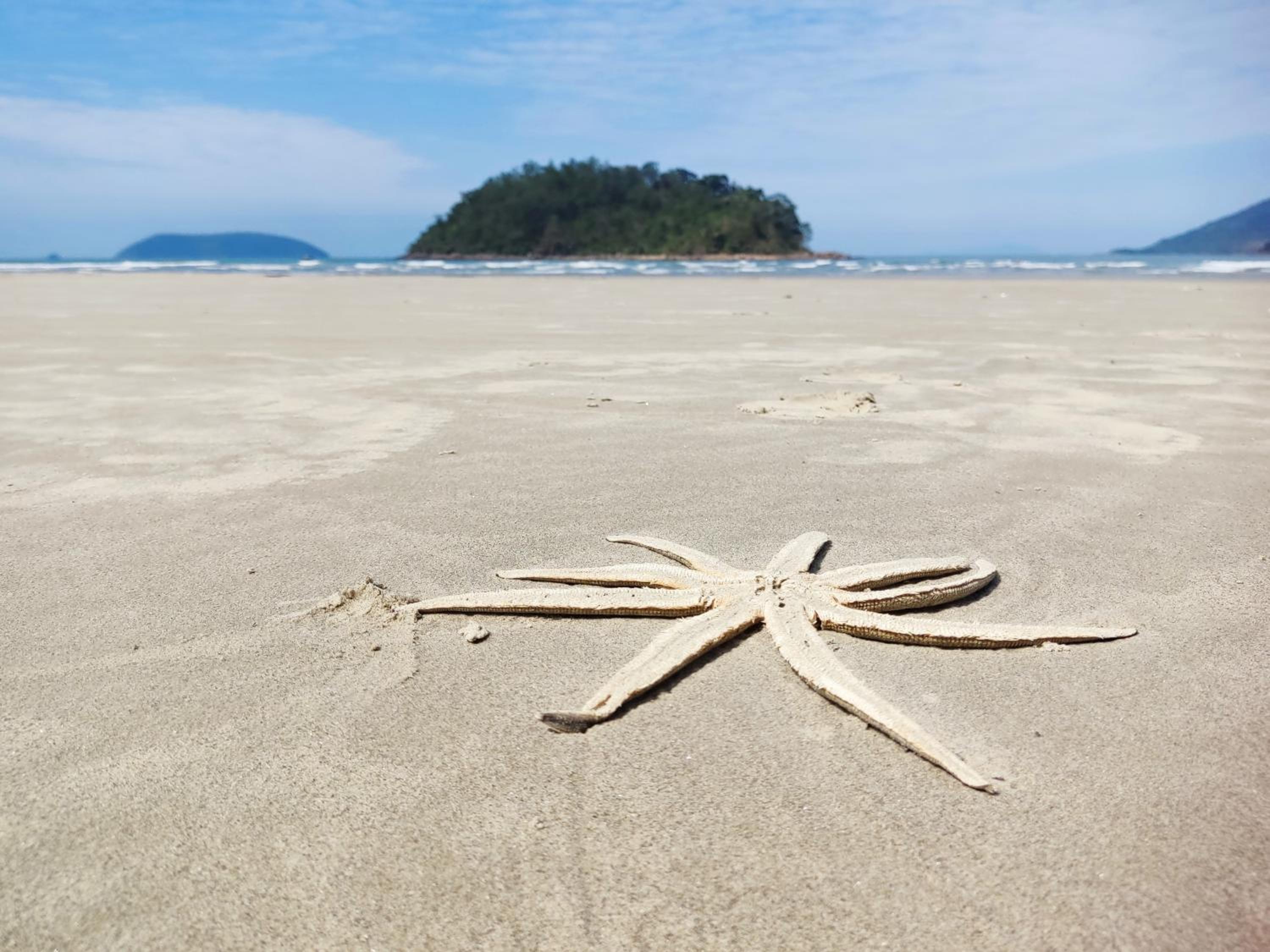 Recanto Primavera Ubatuba