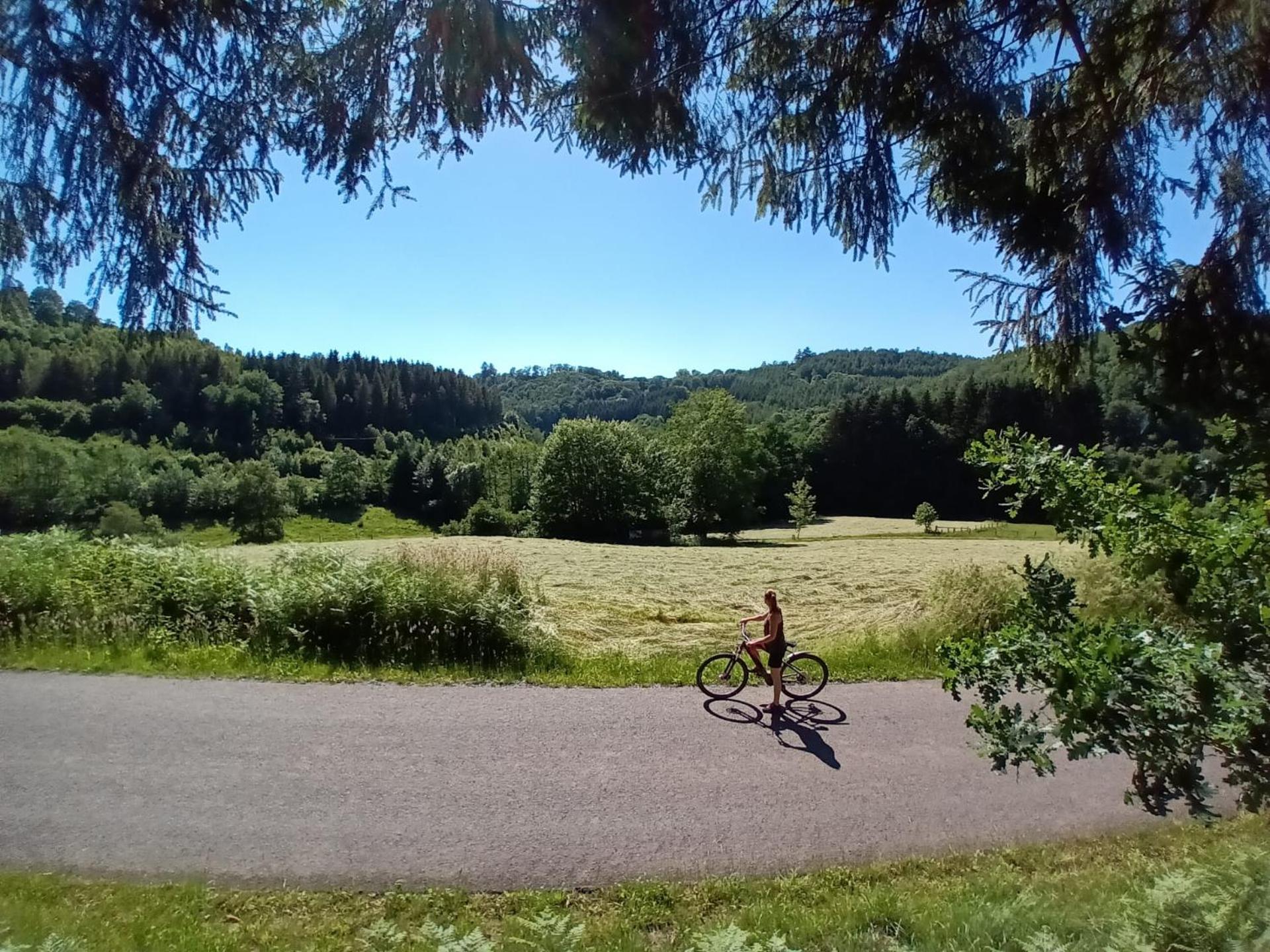 B&B En face du Marronnier
