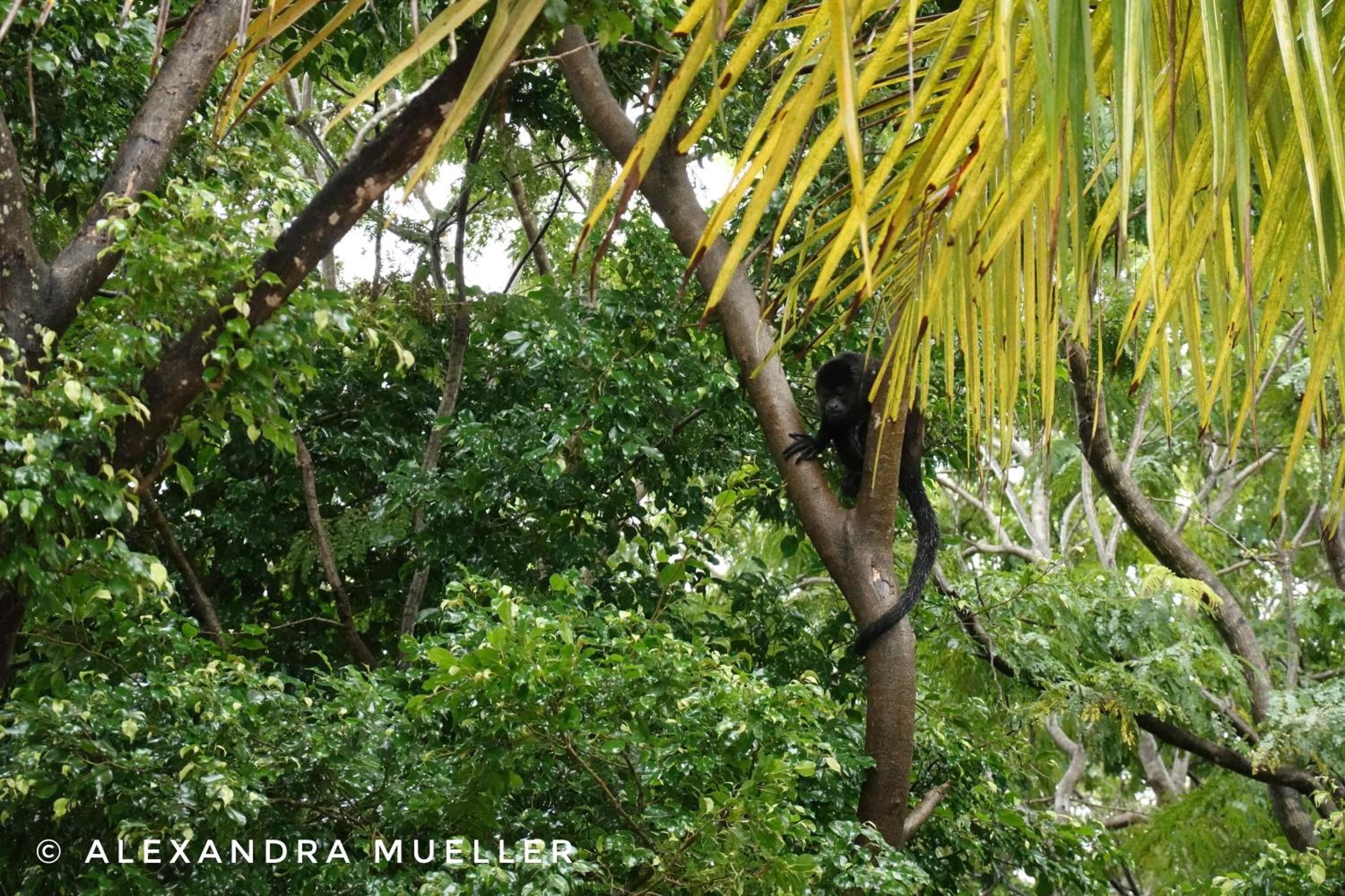 Quinta Esencia