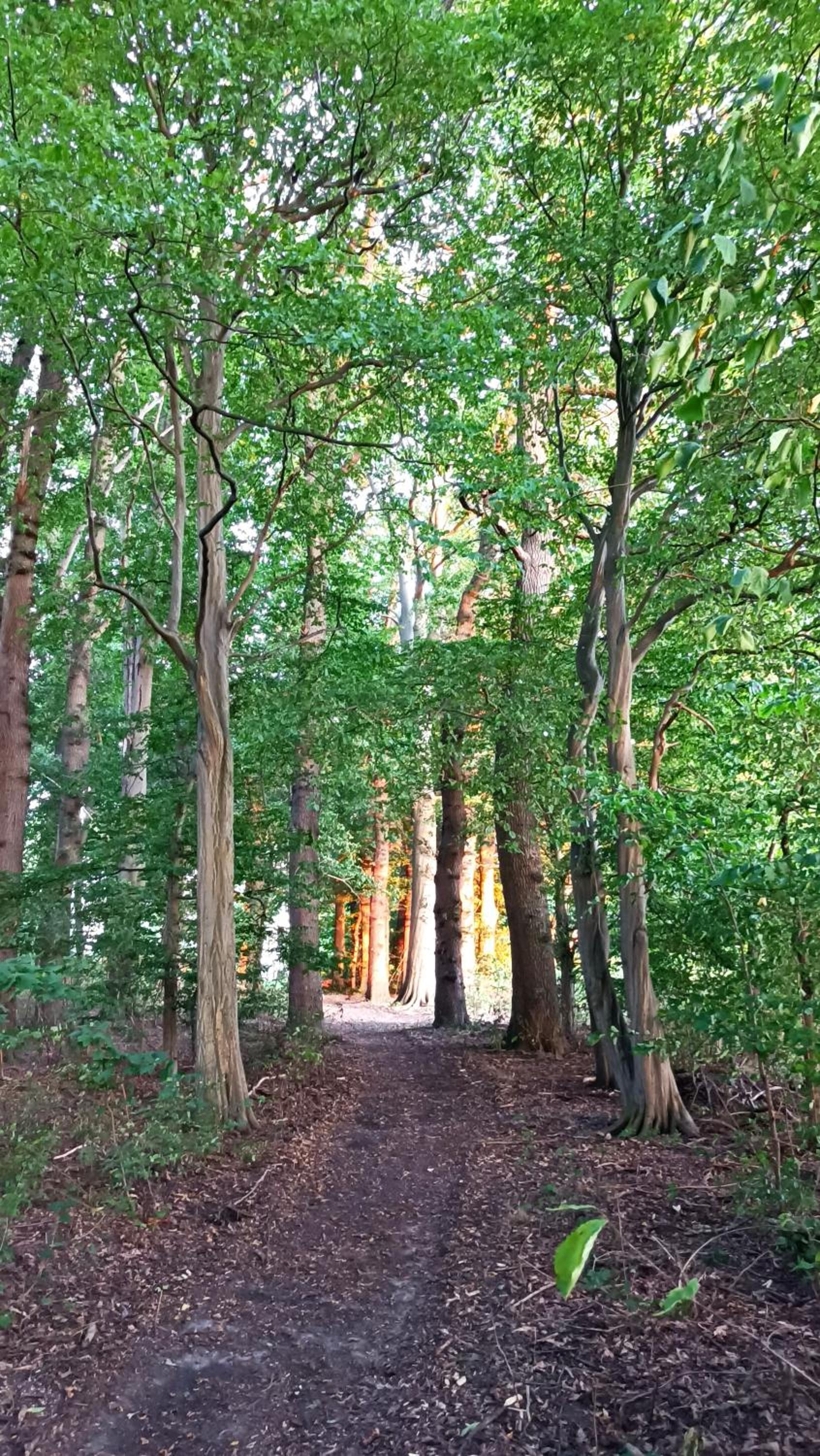 Herrenhaus Harmshagen