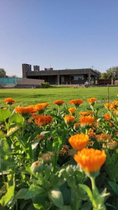 Casa de campo - Campos del Tacu