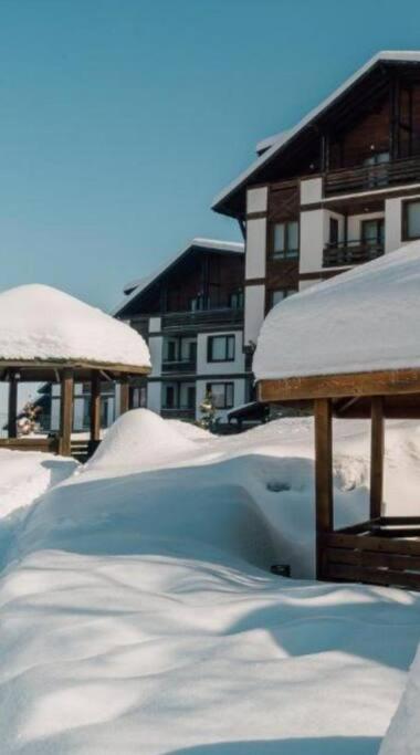 Bansko Vacations - Apartment in Green Life SkiSpa Resort -Bansko - Property Image 3