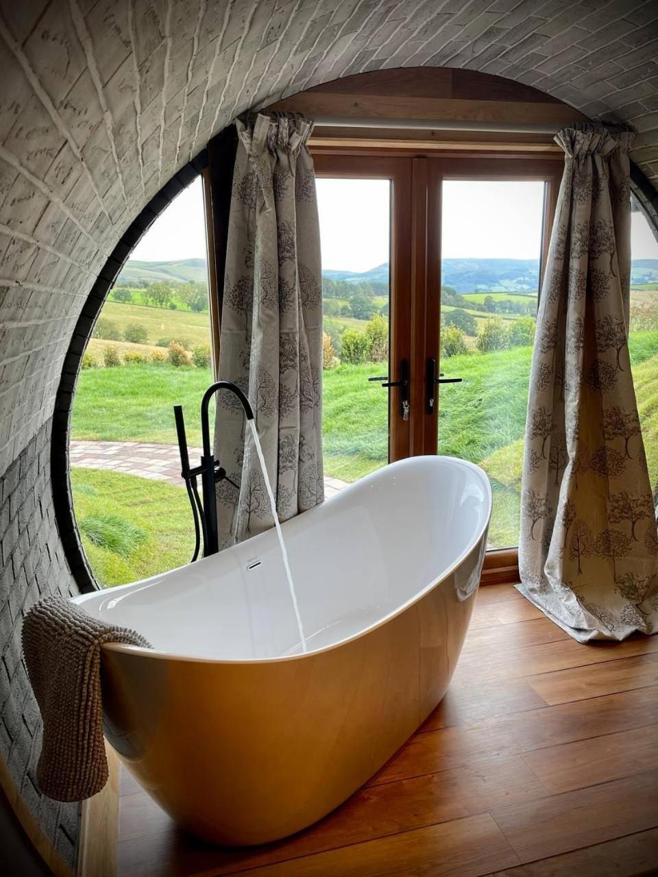 Rabbits View