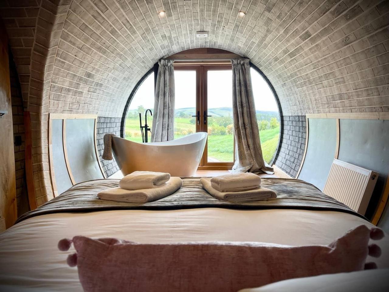Rabbits View