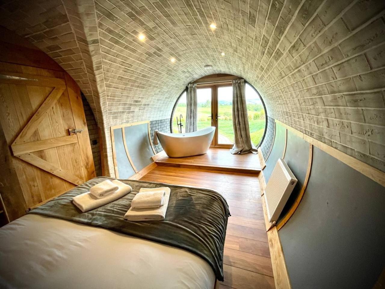Rabbits View