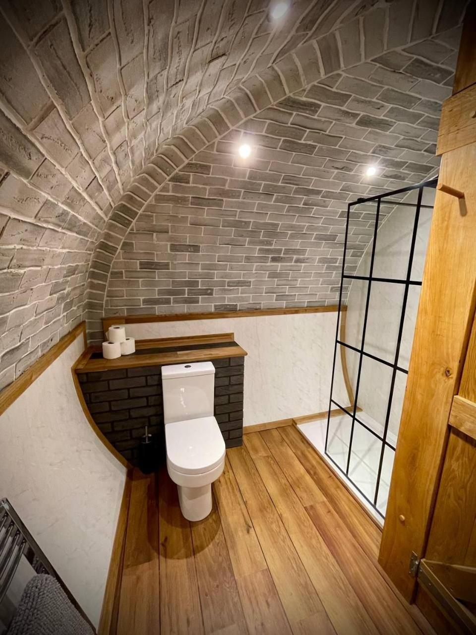 Rabbits View
