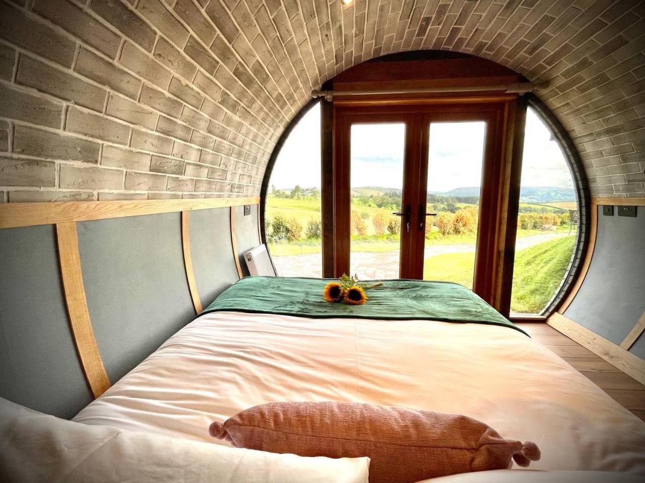 Rabbits View