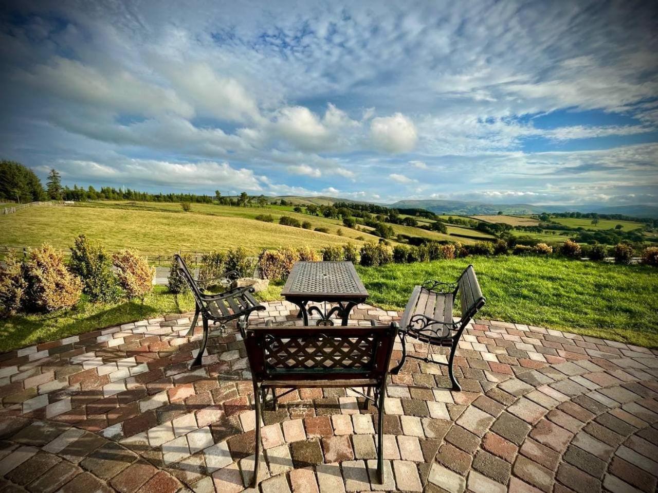 Rabbits View