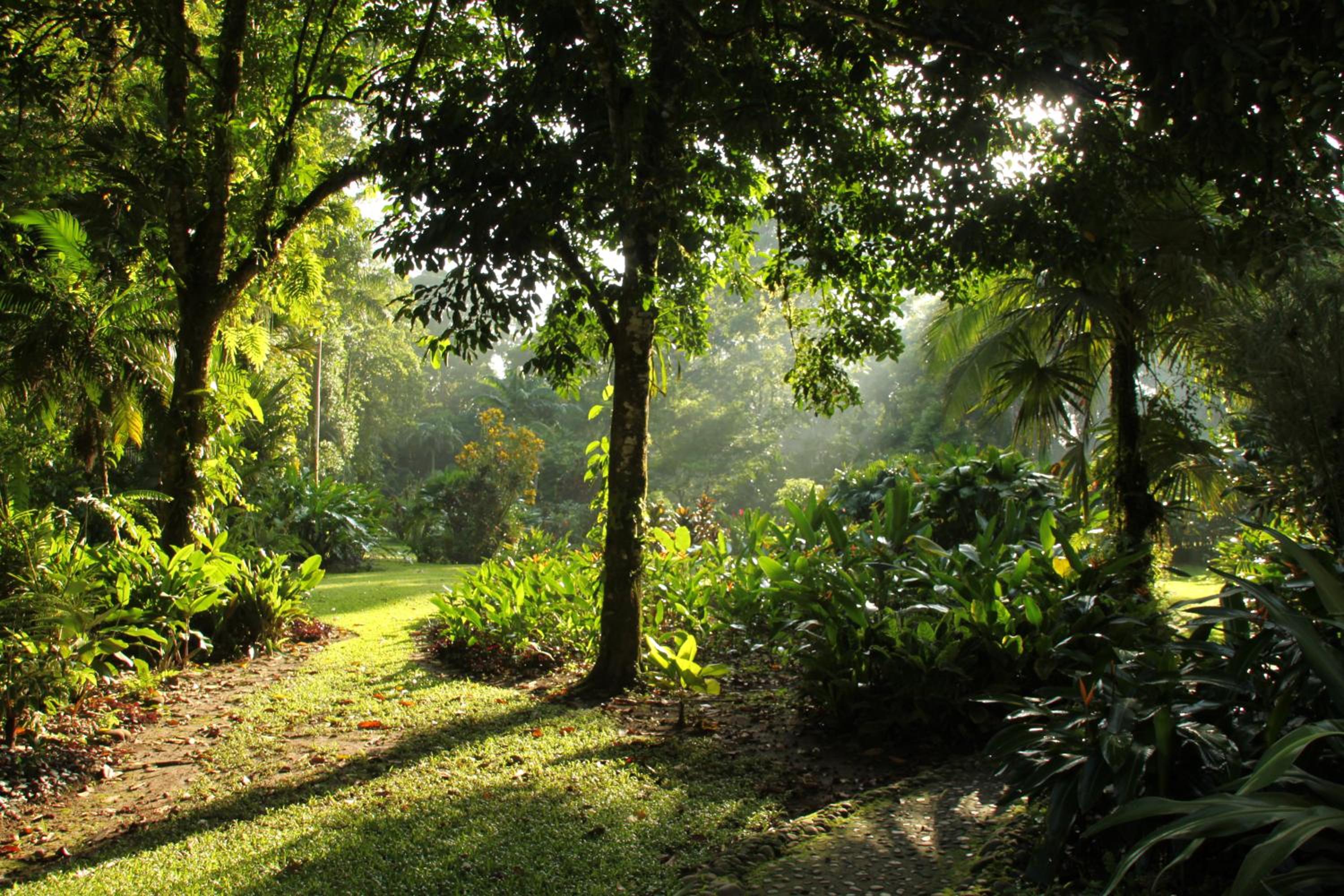 Heliconia Island