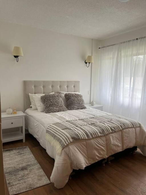 Hermoso departamento en playa Frutillar Bajo