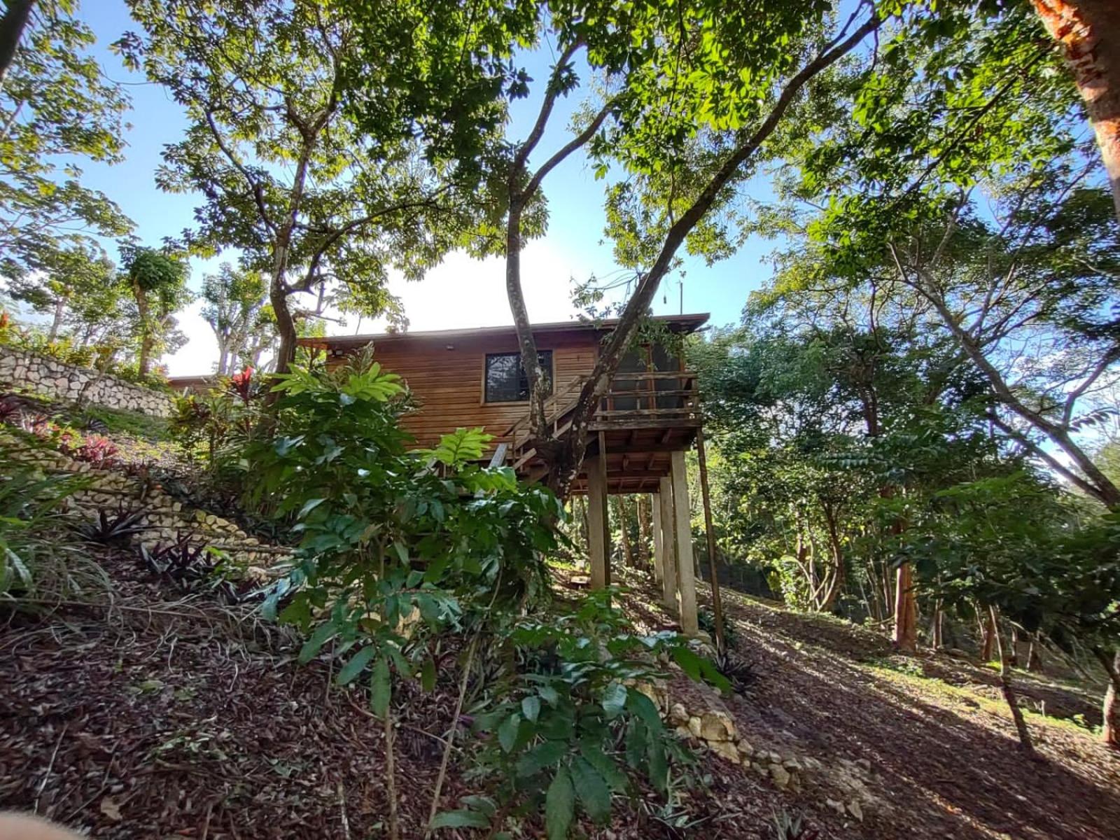 Santa Cruz Cabins