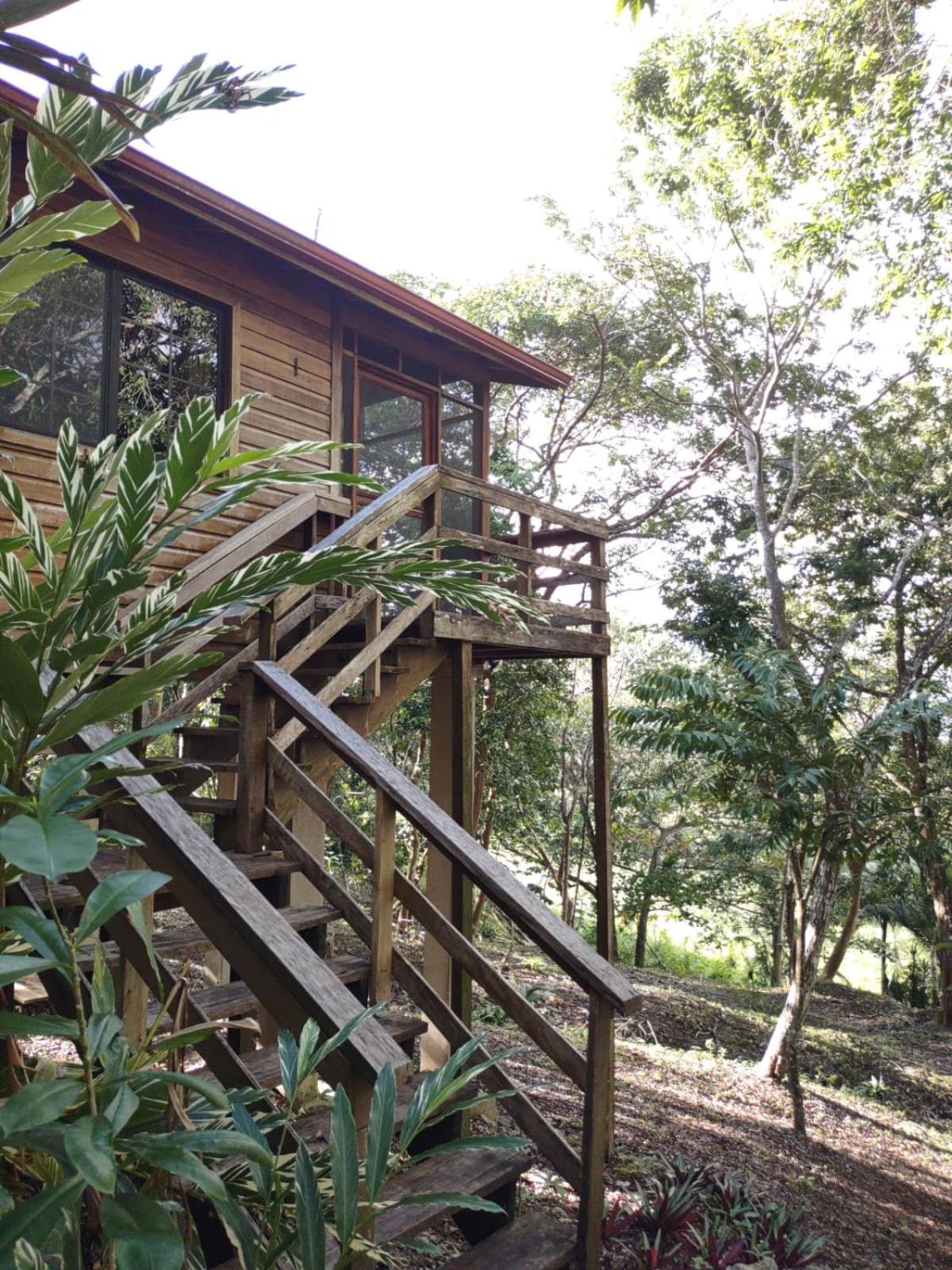 Santa Cruz Cabins