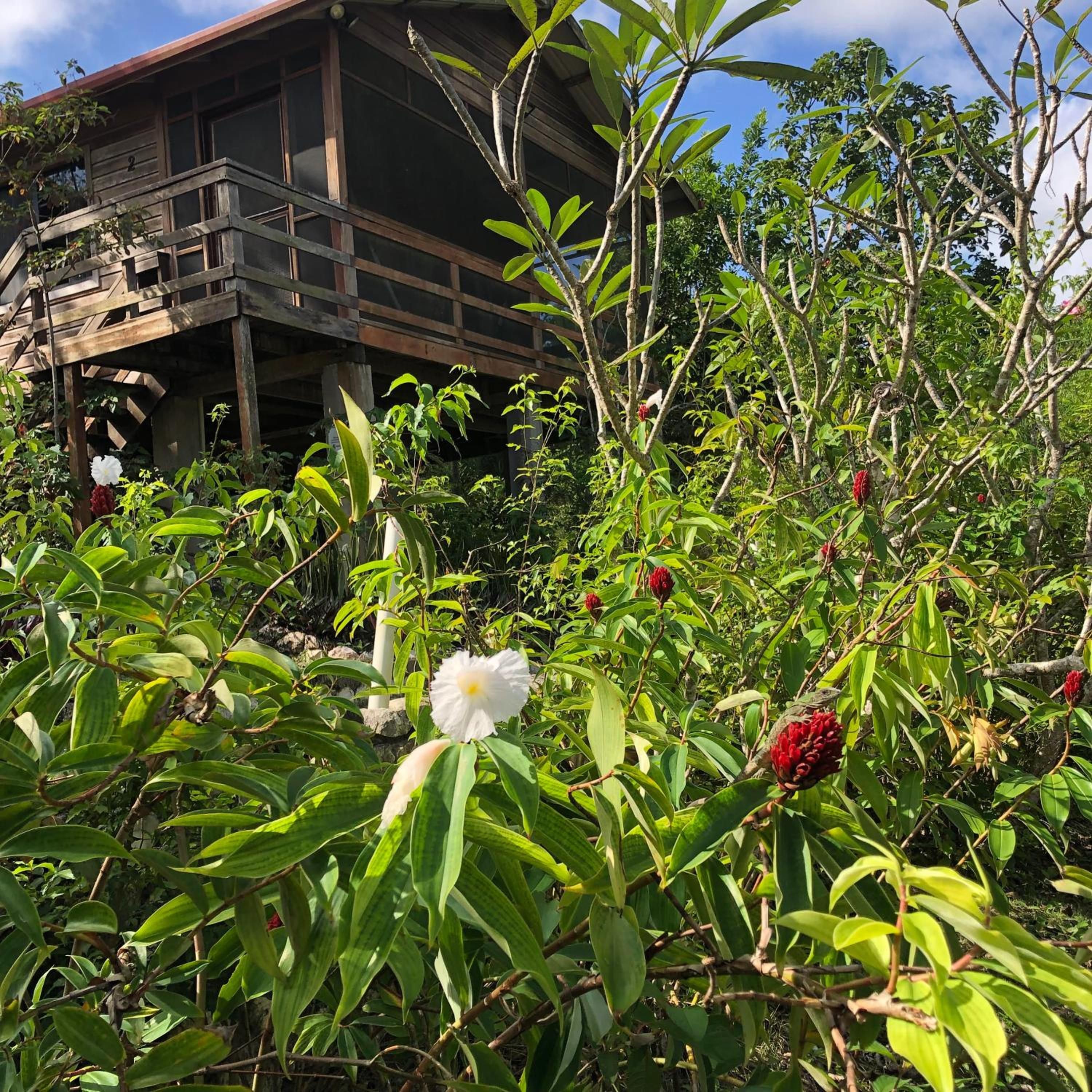 Santa Cruz Cabins