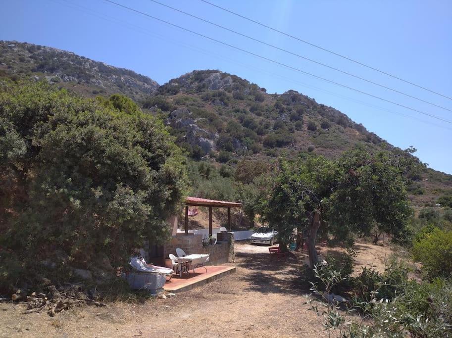 Photo 19