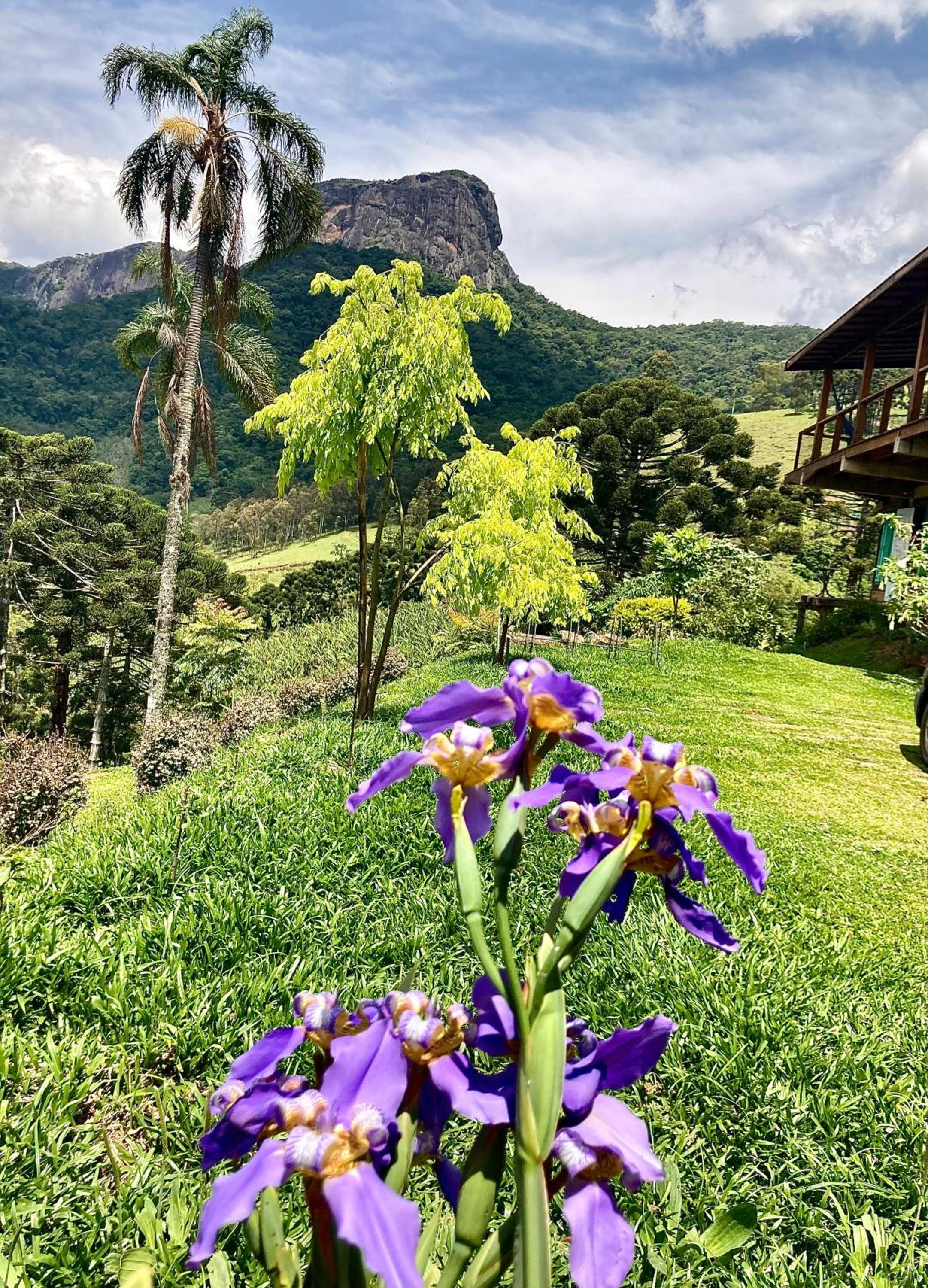 Baú’au House Unique View Family Comfort