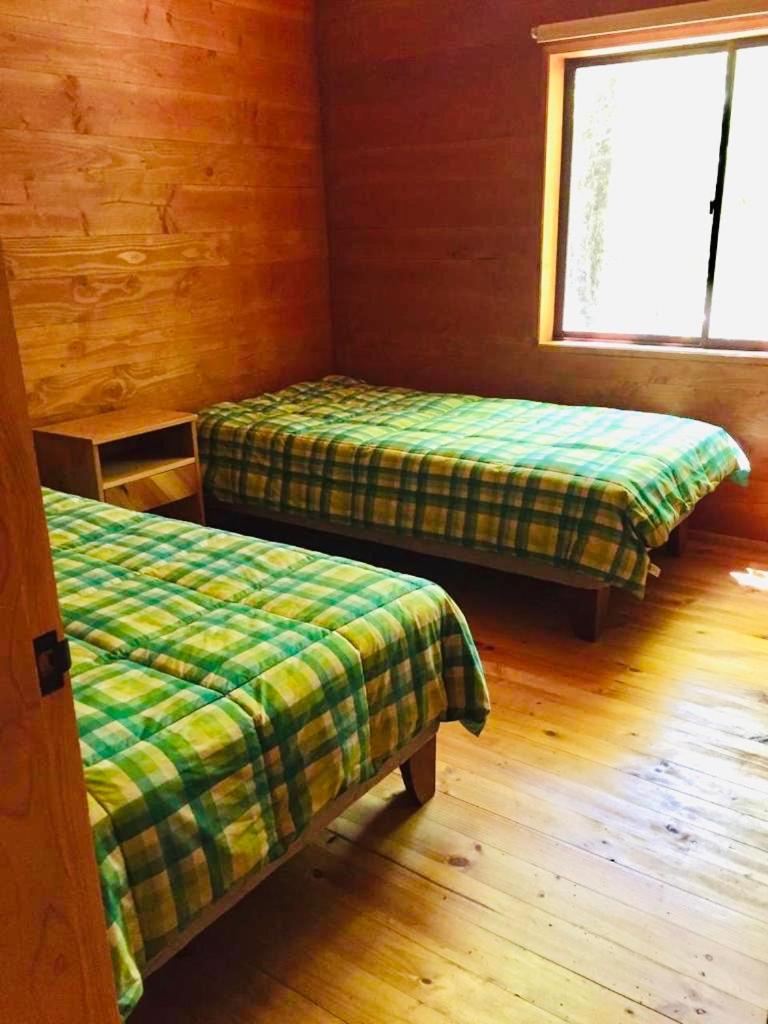 Pucón-Casa Manke-Palguin Alto - Bosque y Río