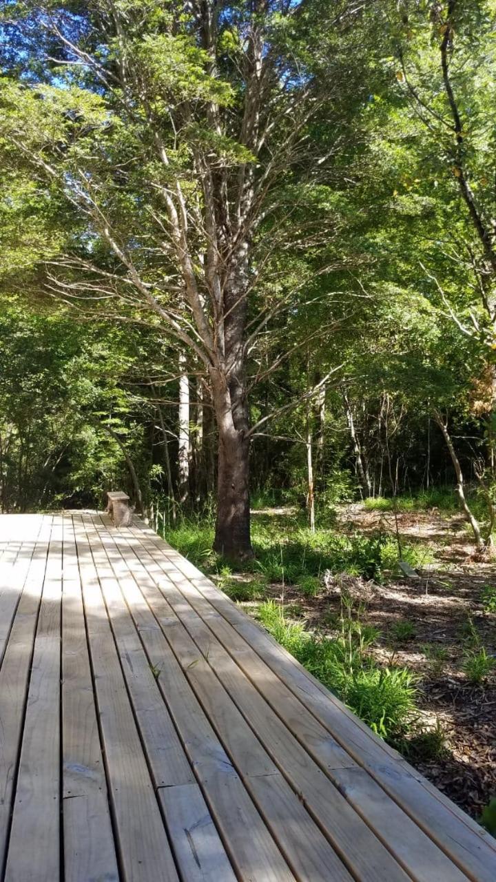 Pucón-Casa Manke-Palguin Alto - Bosque y Río