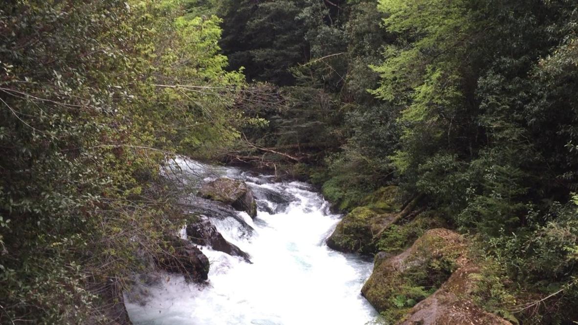 Pucón-Casa Manke-Palguin Alto - Bosque y Río