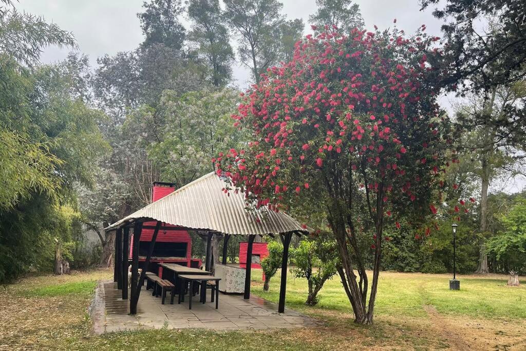 Quinta con pileta