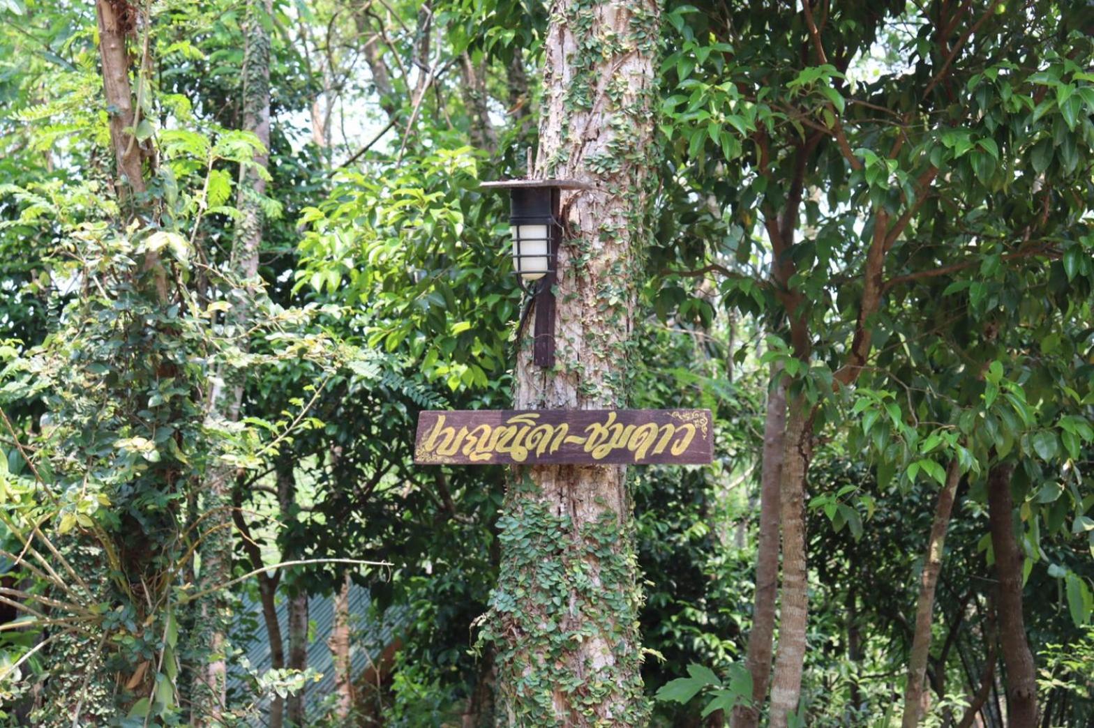 Marisa Resort & Spa Chiang Dao