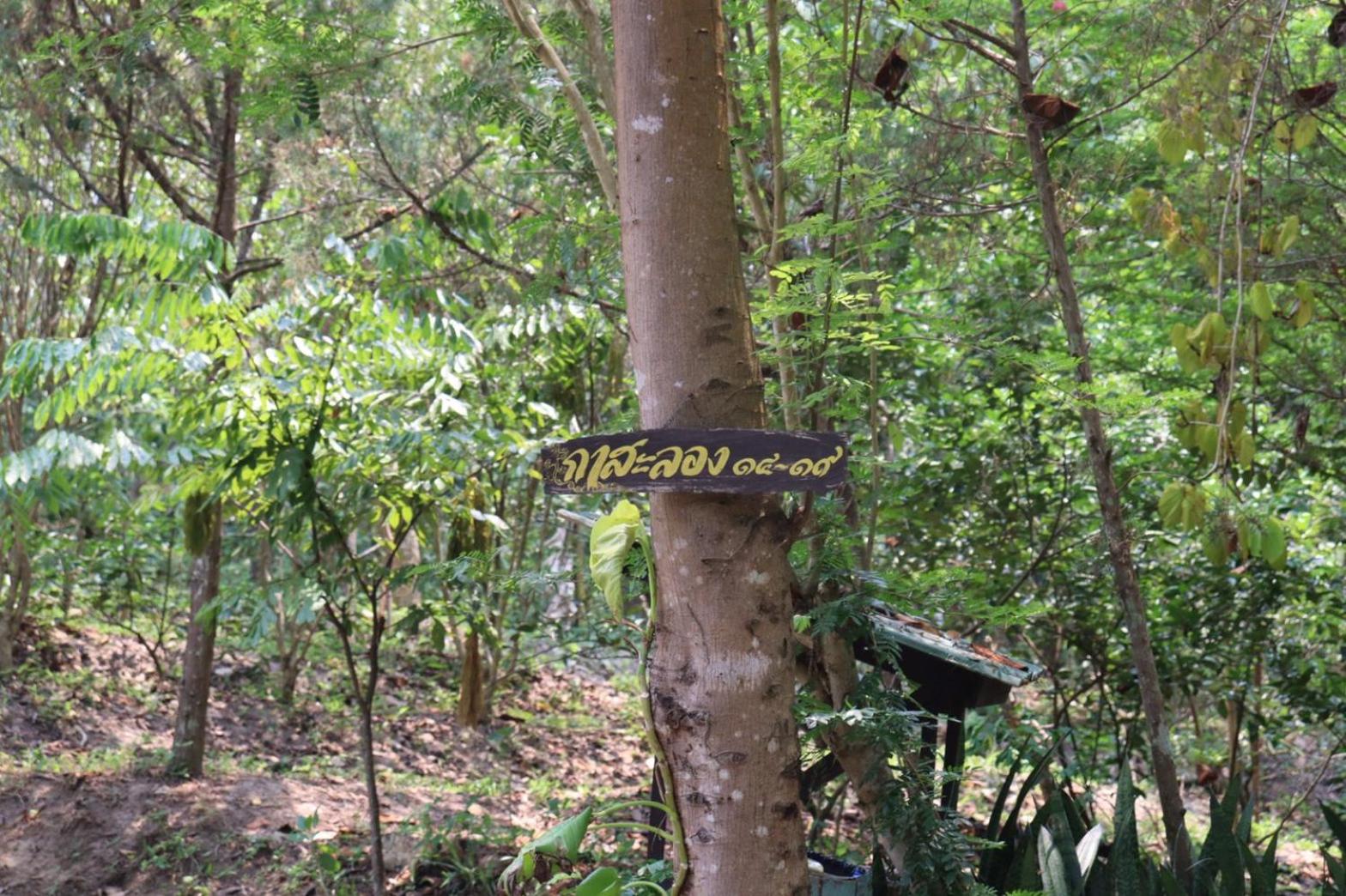 Marisa Resort & Spa Chiang Dao