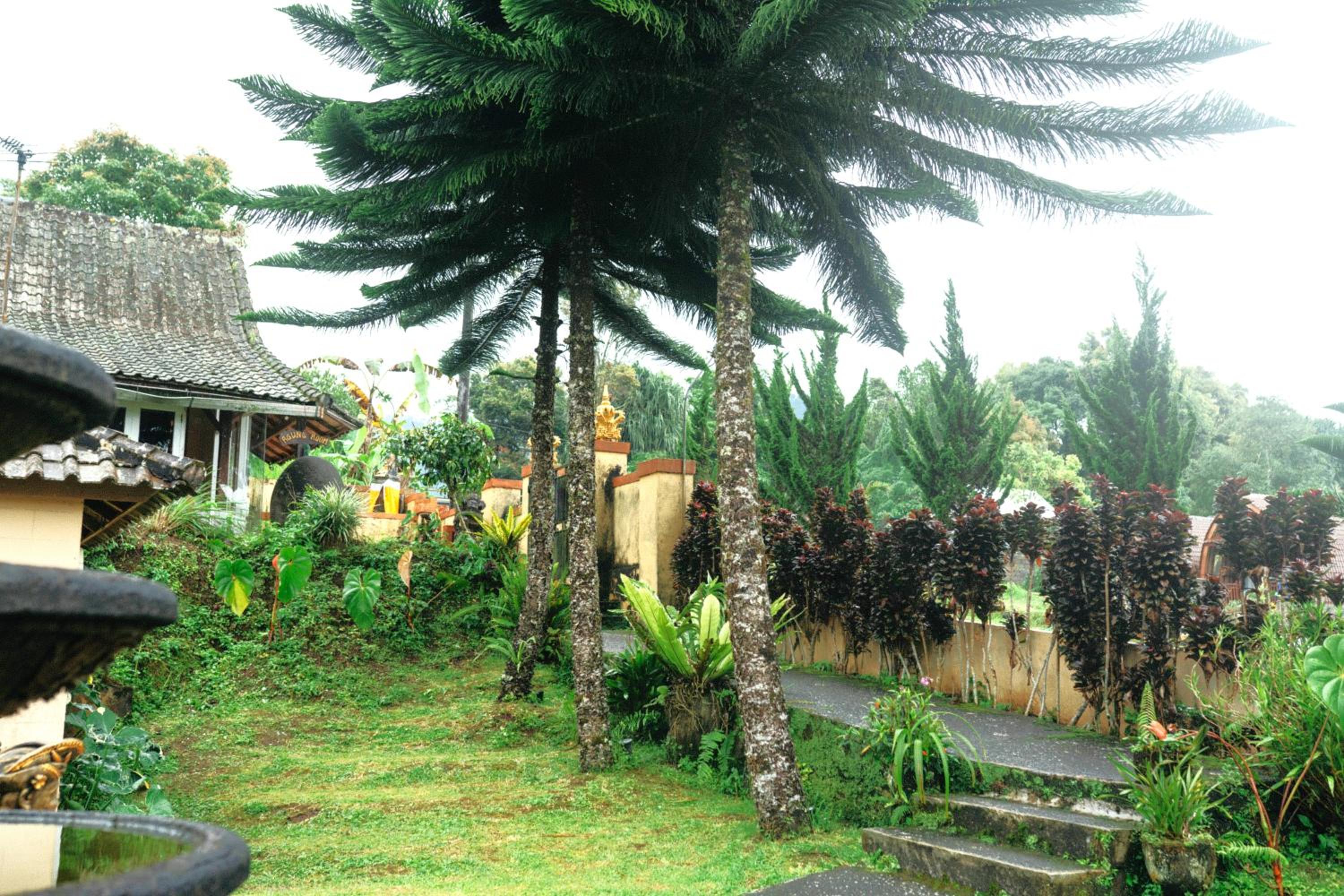 Photo 26