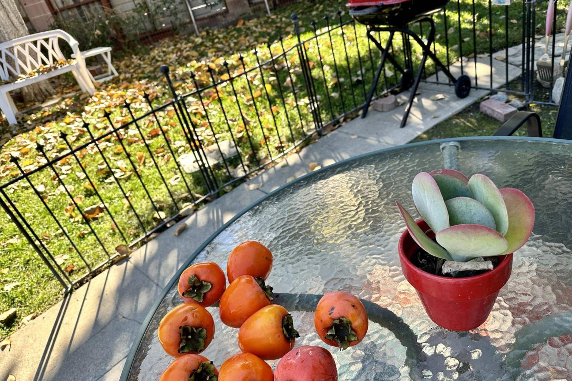 Persimmon Cottage