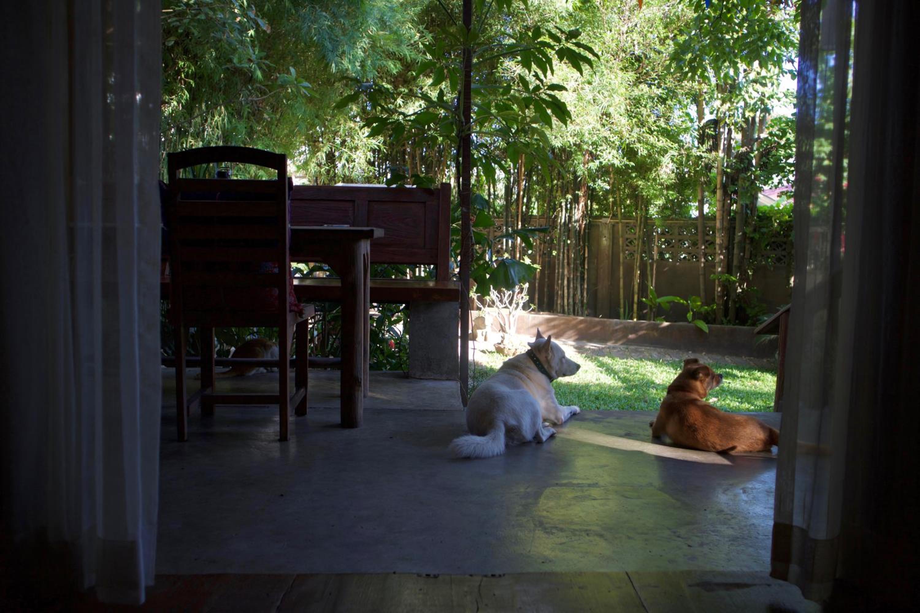 Photo 35