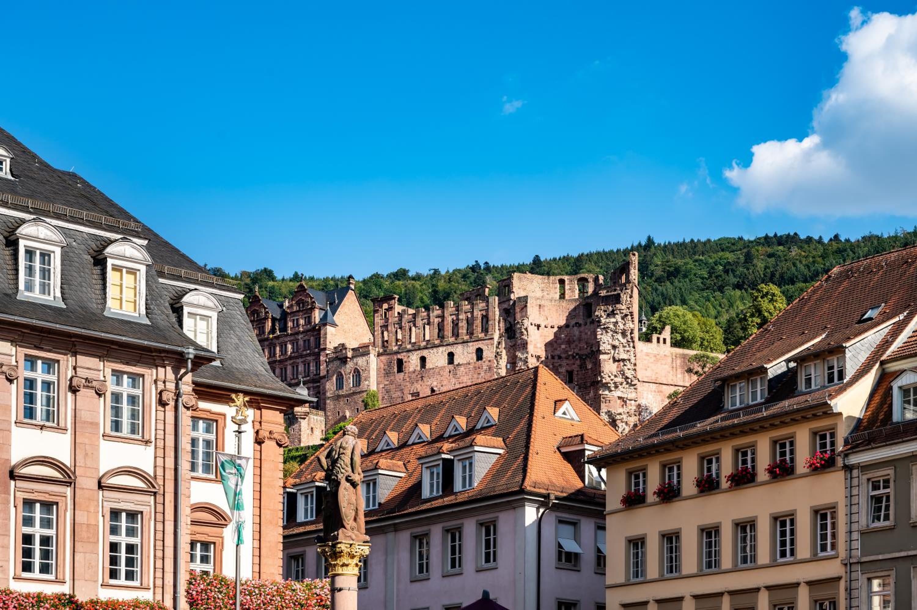 Staycity Aparthotels Heidelberg — photo 51
