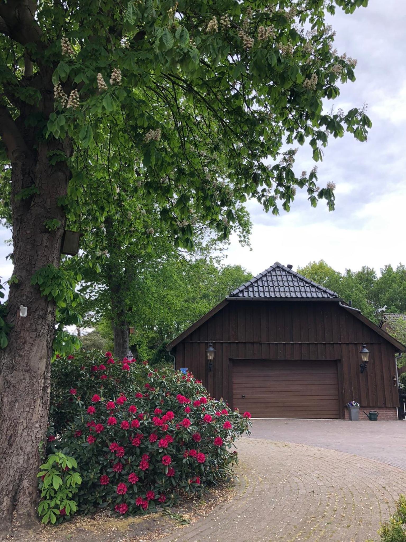 B&B De Drentse Es