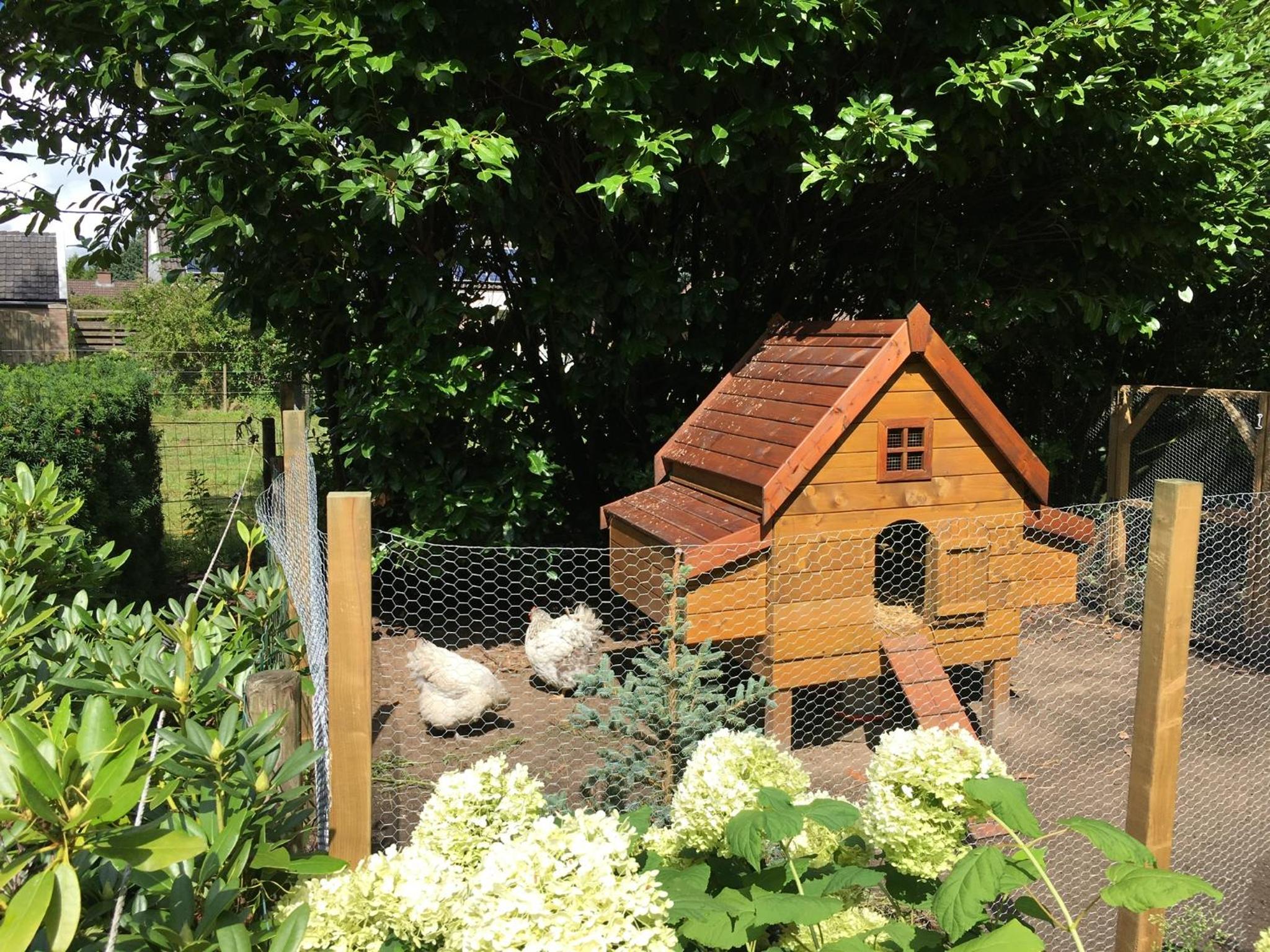 B&B De Drentse Es, photo 9