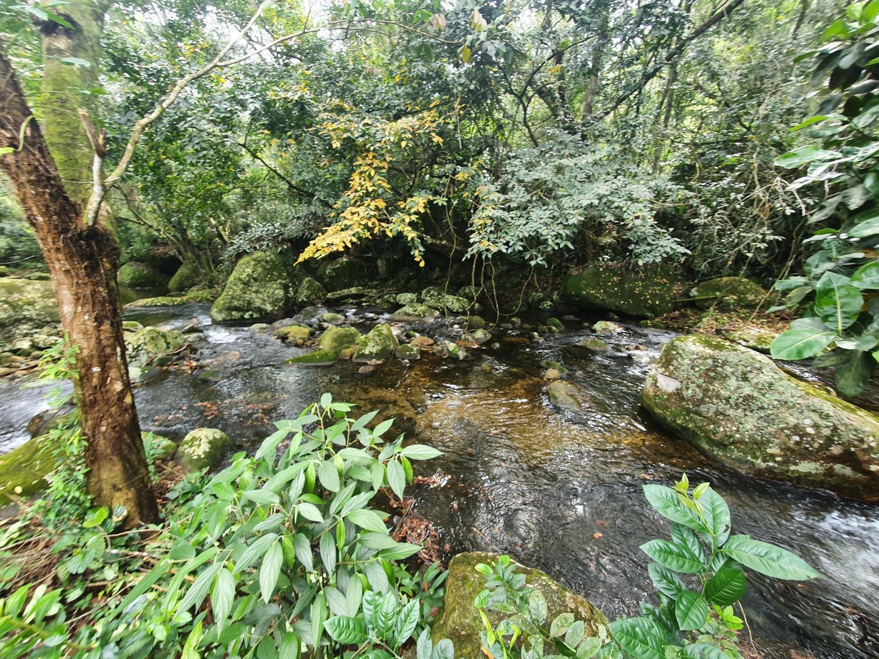 Chalé da cachoeira - Ilhabela