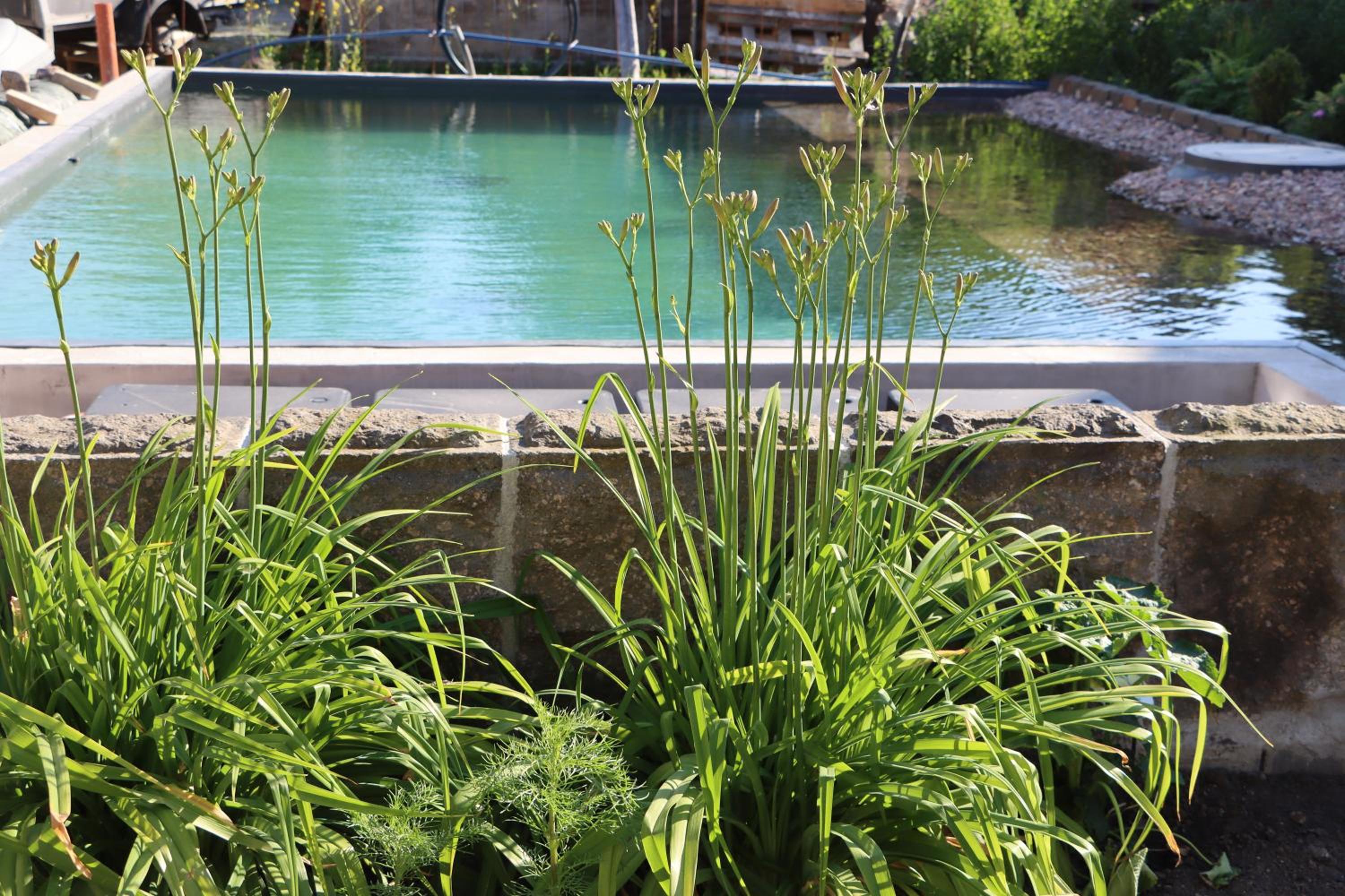 Drei-Seiten-Hof Étable mit Schwimmteich und Klimanlage