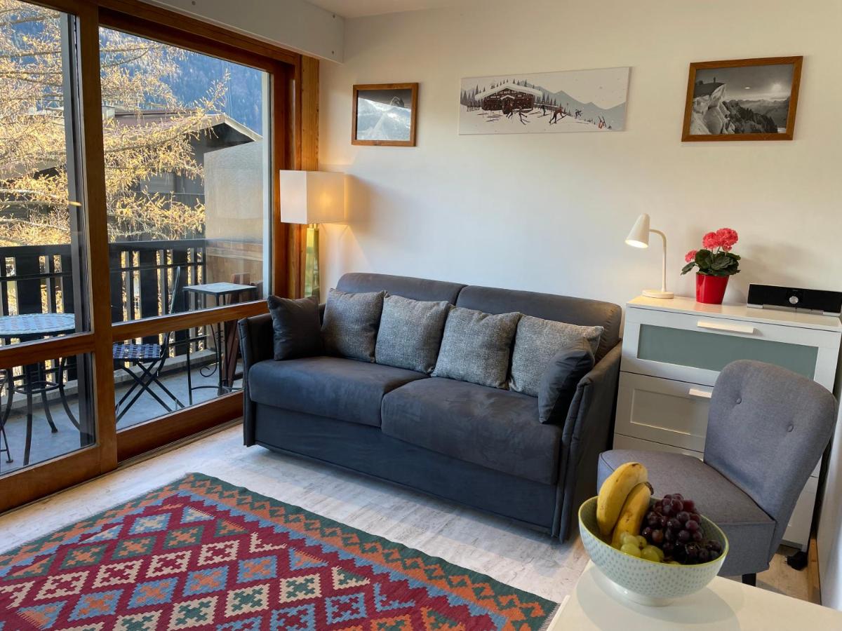 Apartment Le Pied du Brevent view 3