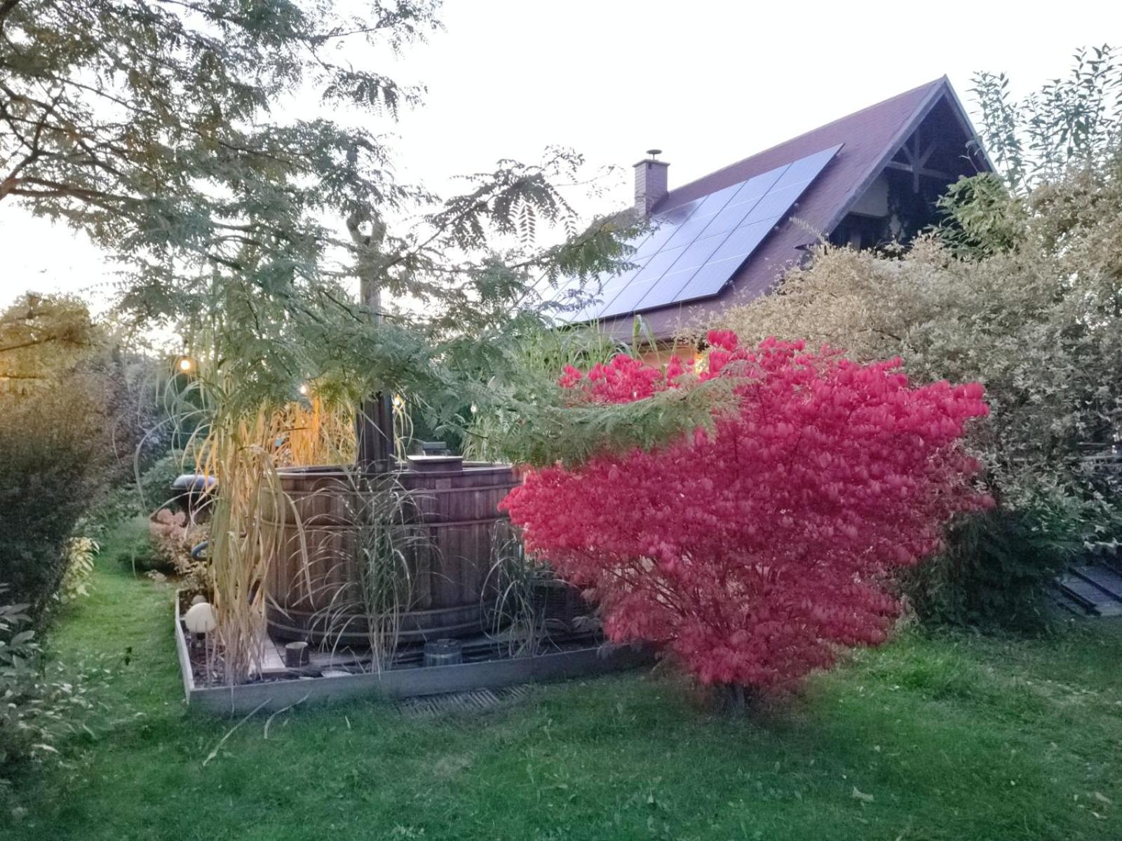 Photo 29