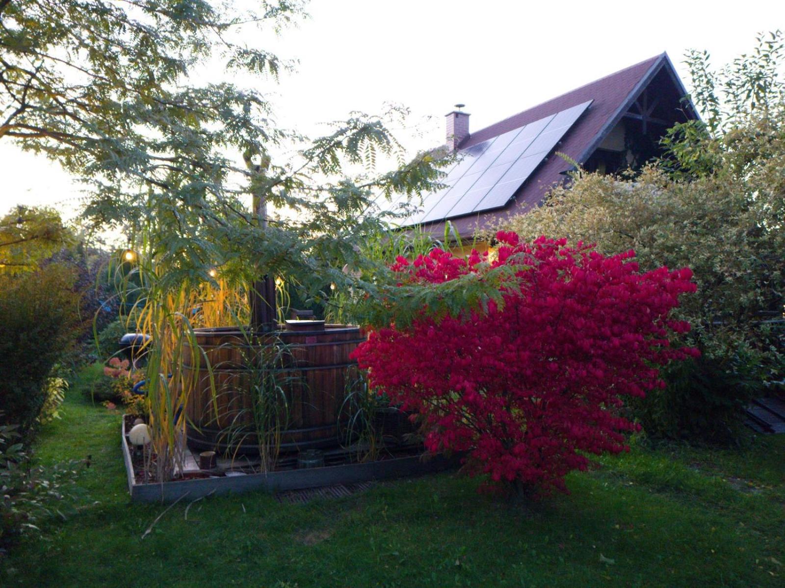 Photo 38