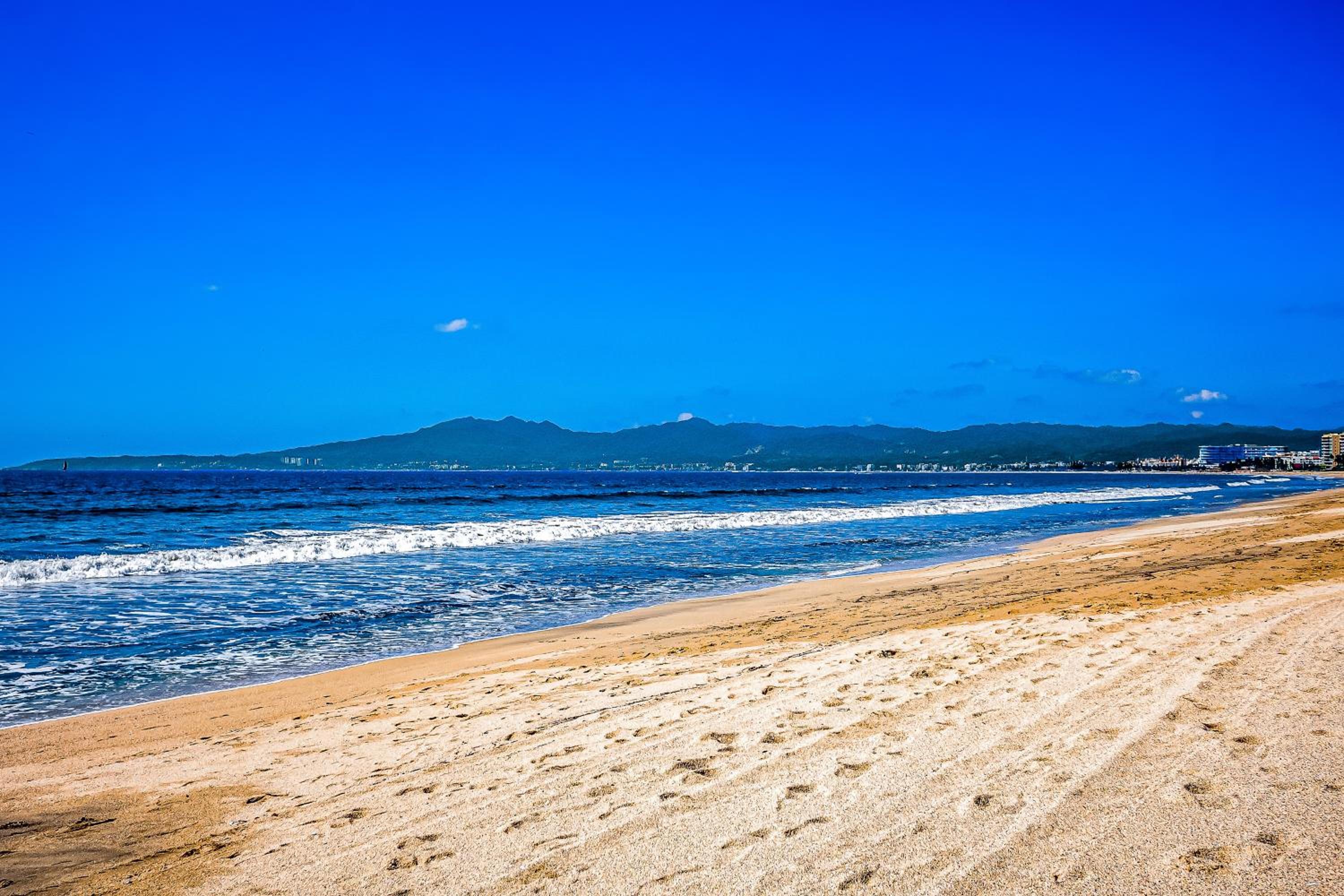 Nitta 310 PH - Property Image 4