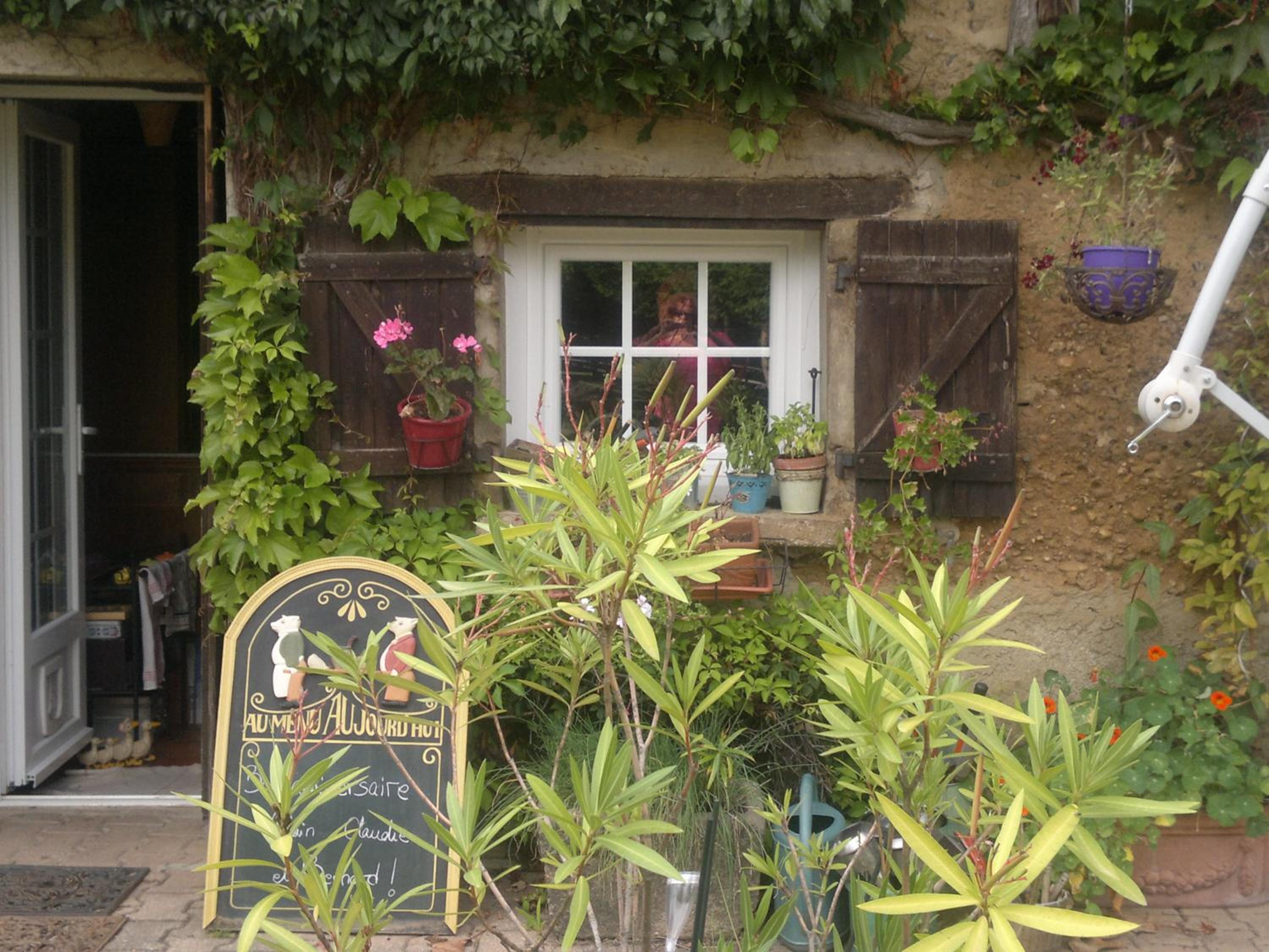 Photo 19