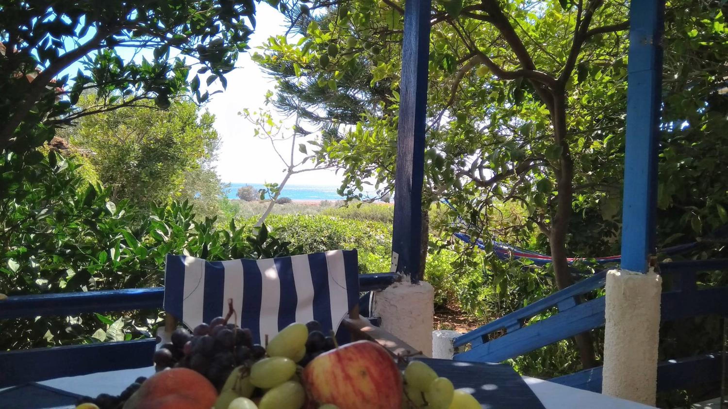 A Cretan house in a garden,overlooking the sea. view 5