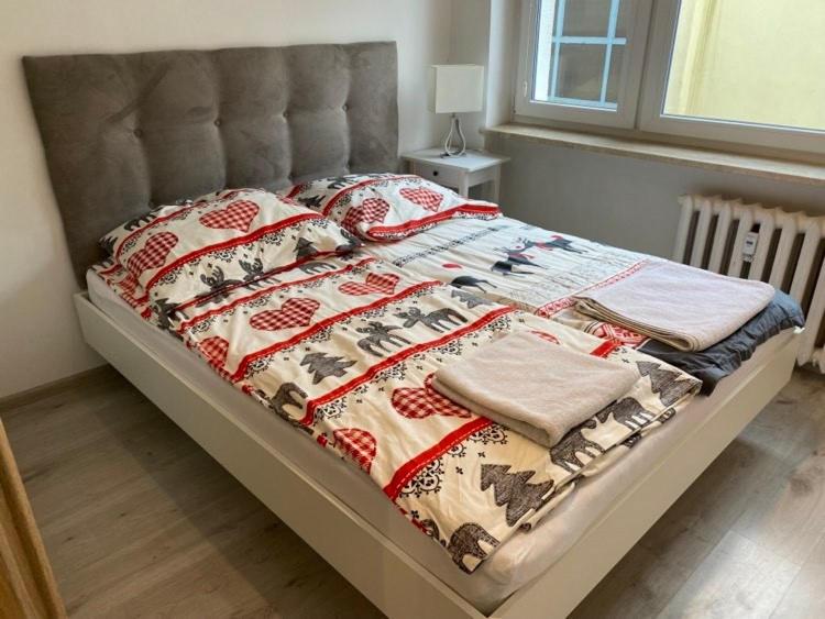 Apartament Przy Katedrze, photo 2