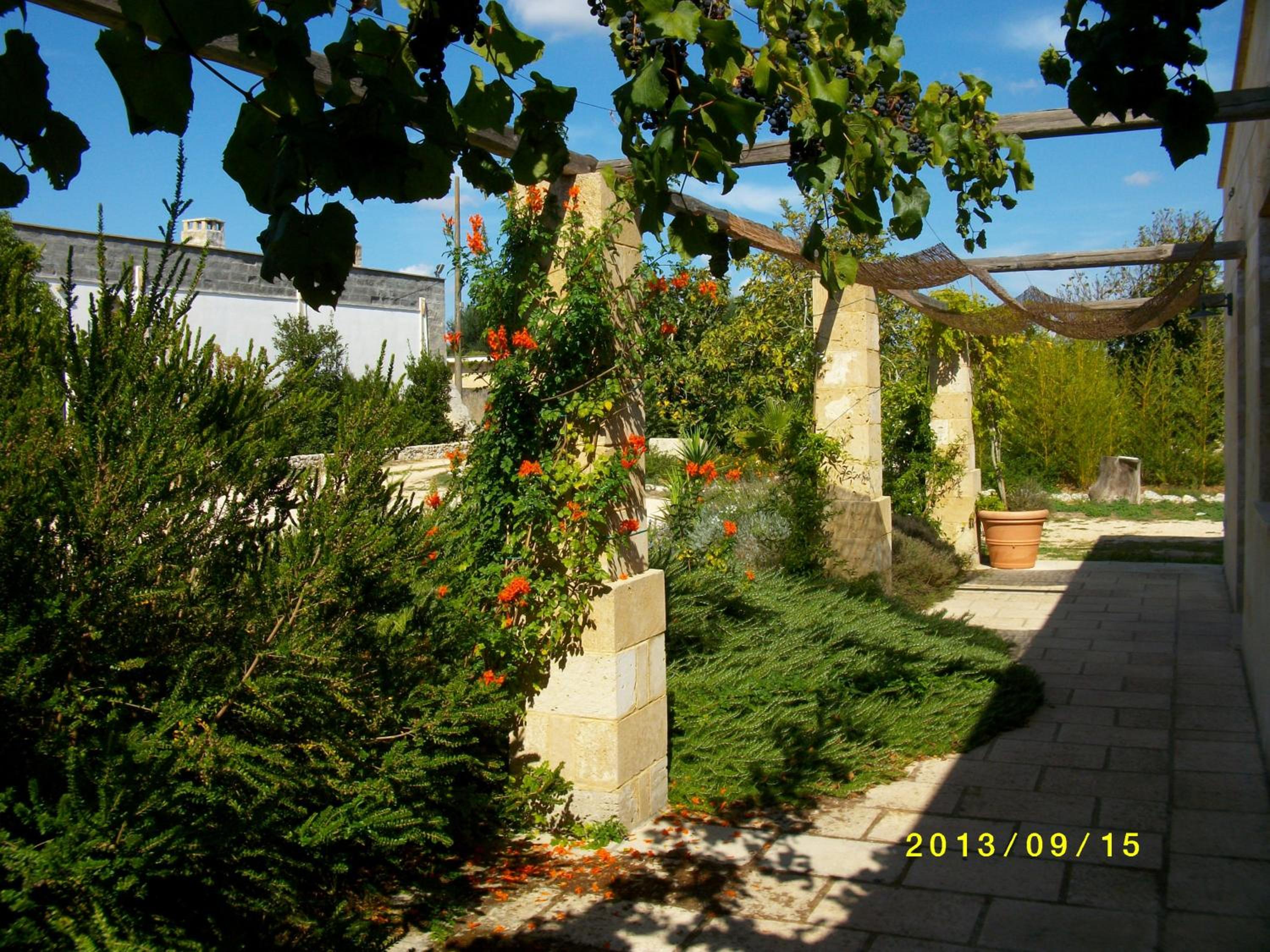 Photo 29