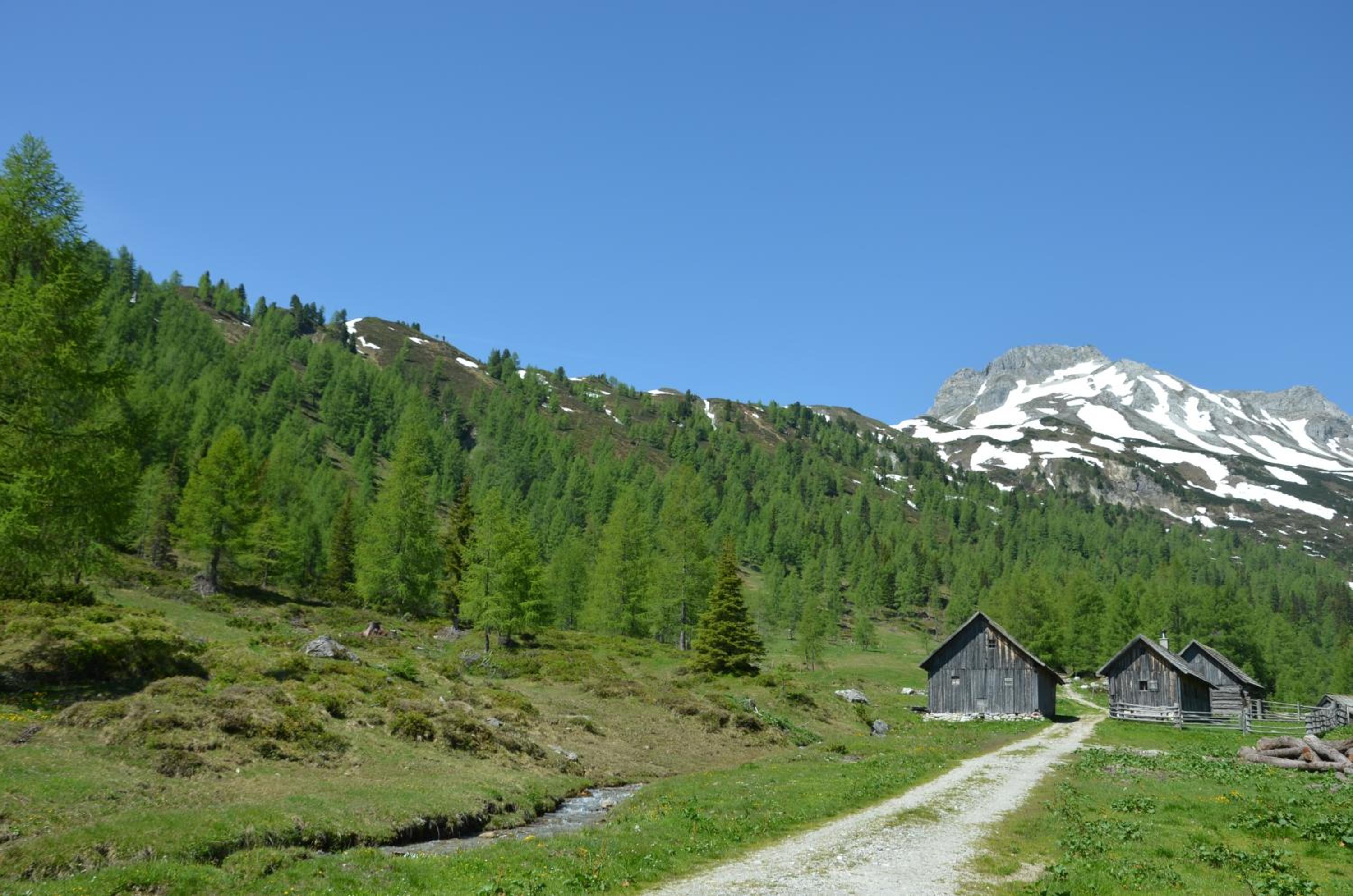 Urlaub am Kräutlhof in Mariapfarr view 3