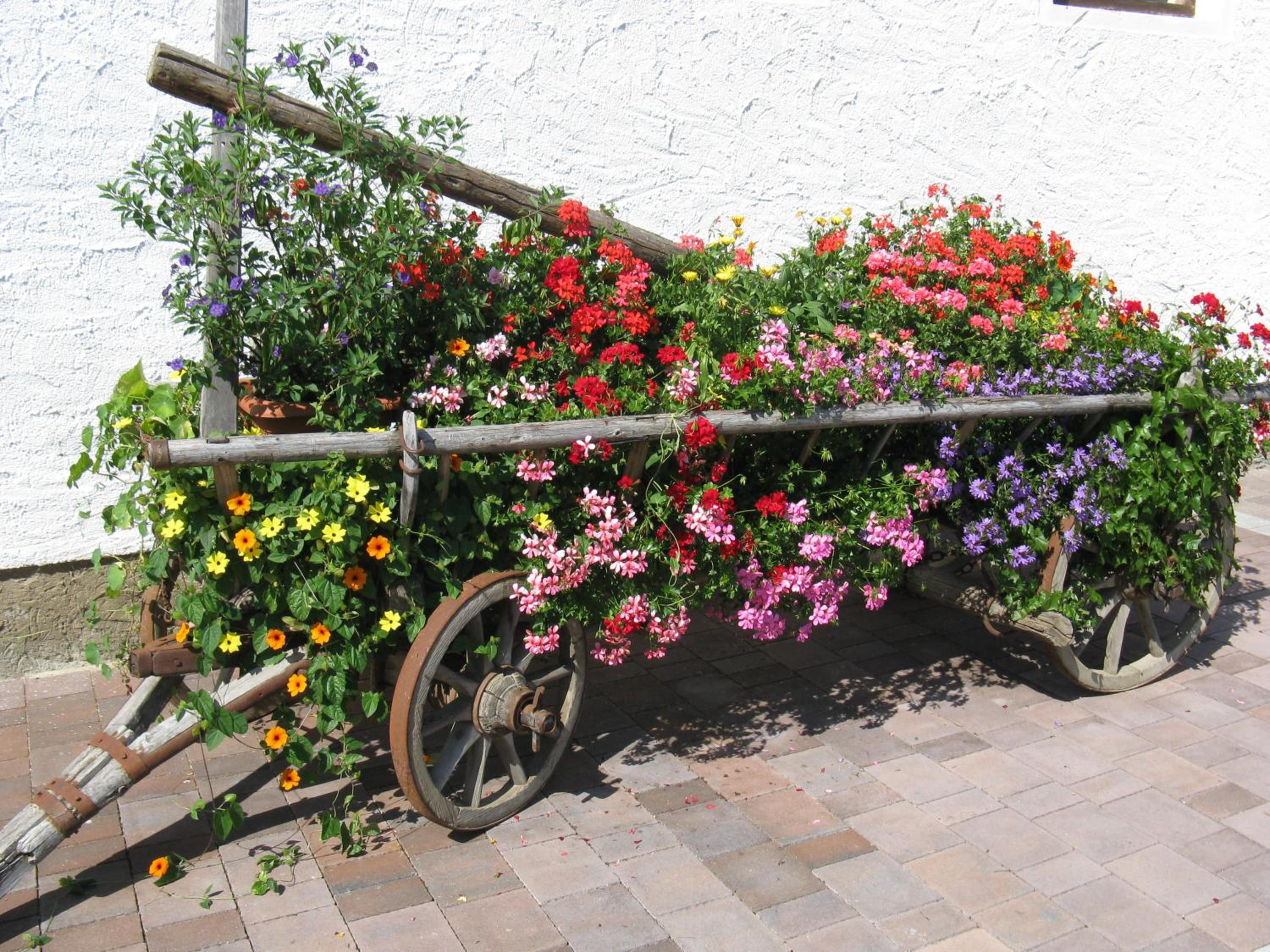 Urlaub am Kräutlhof in Mariapfarr view 2