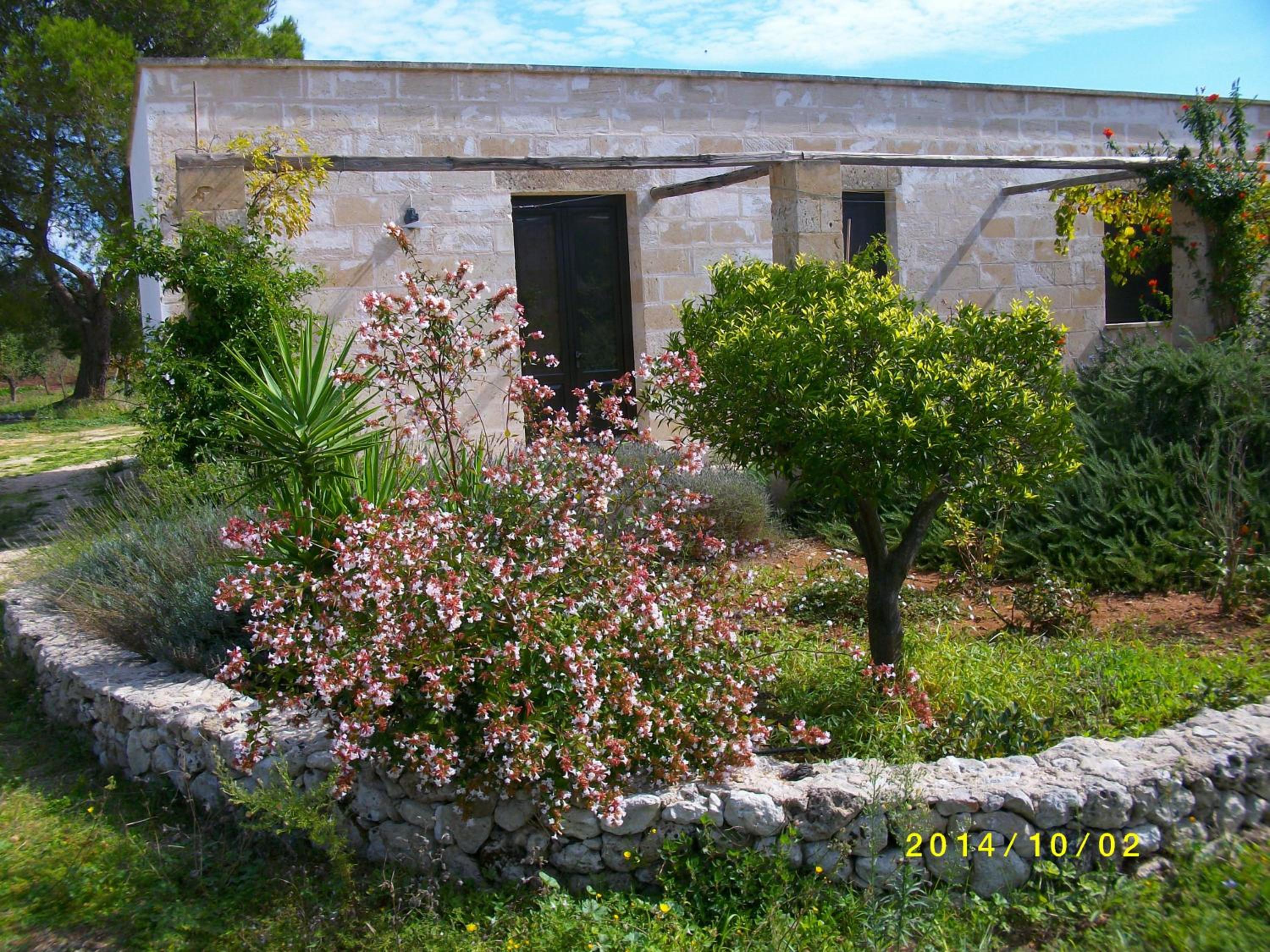Photo 30