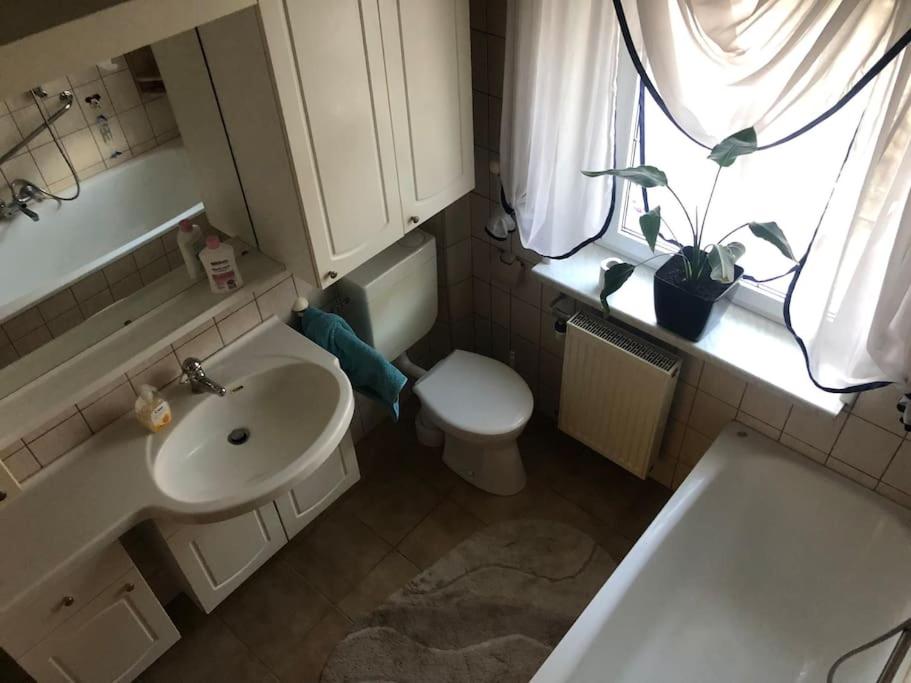 Ferienwohnung in Golßen/Spreewald, Tropical Island