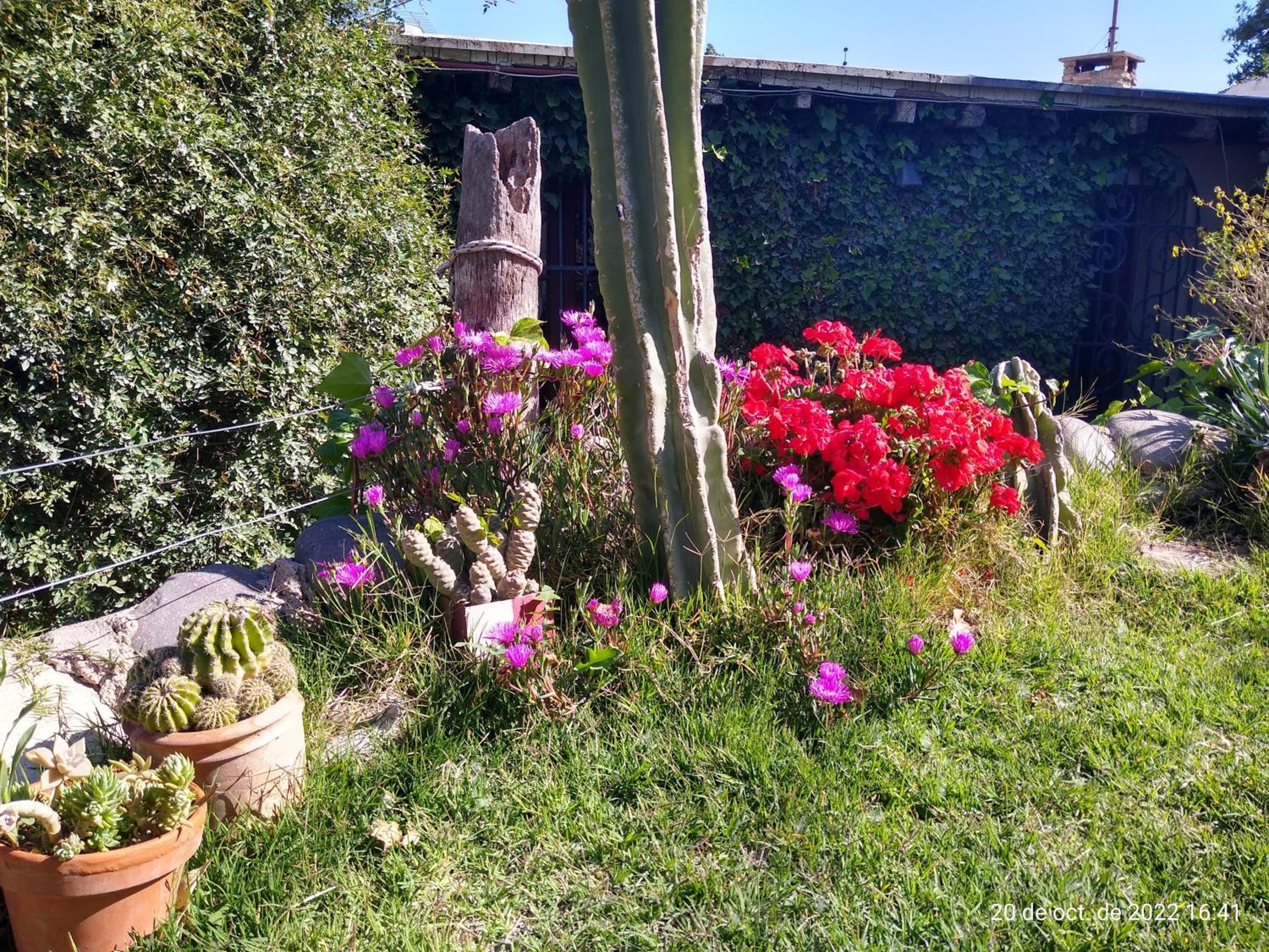 Casitas del Cerro