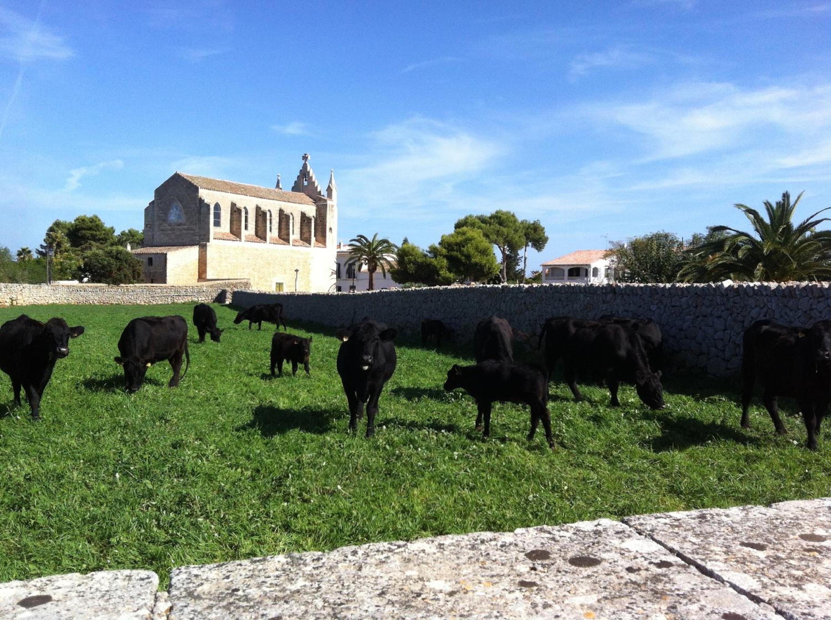 Llucmaçanes Gran Agroturismo