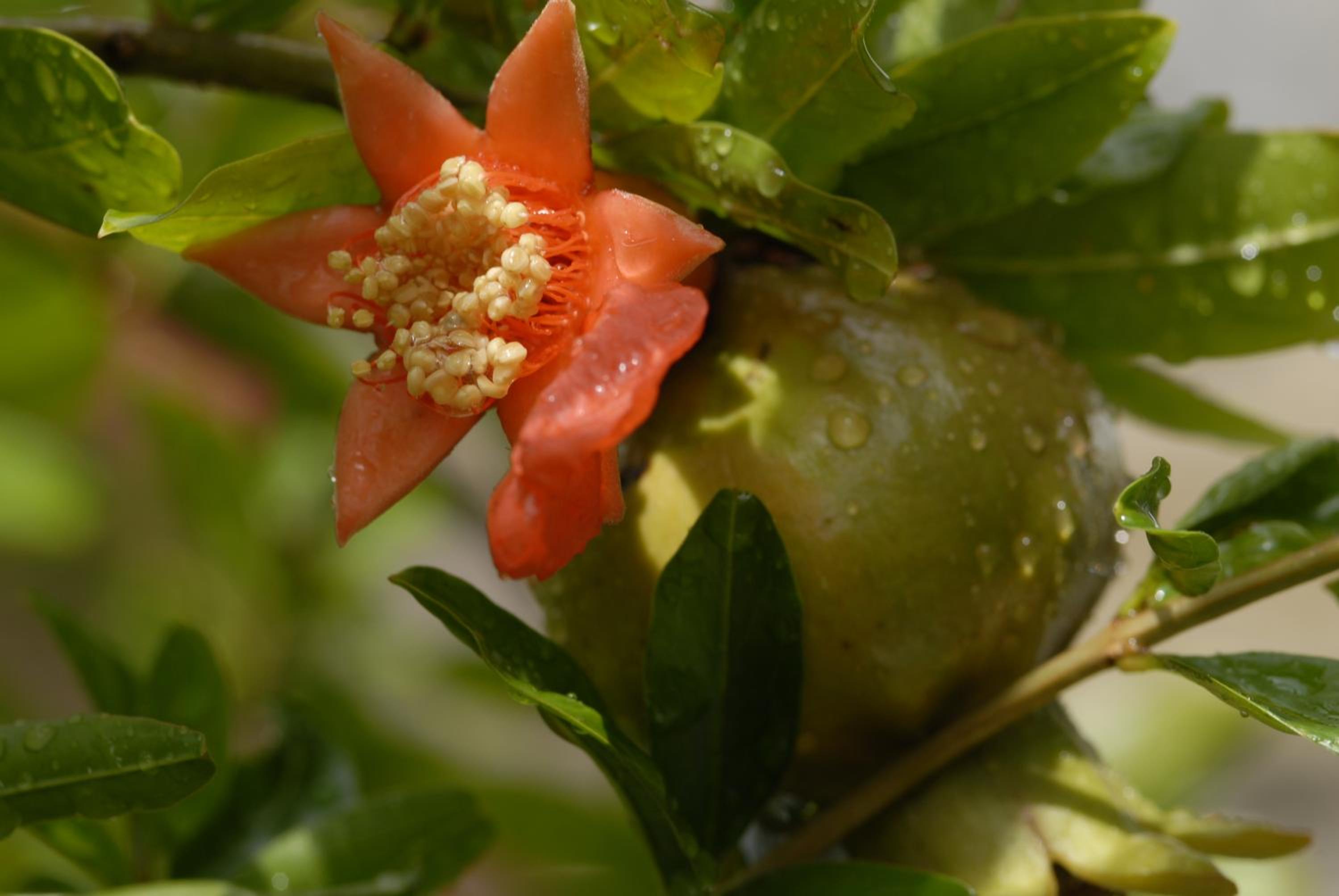 Margarita Studios photo 4