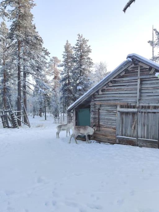 Aurora Cabin